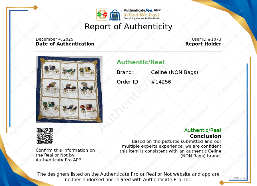 Scarf Luxury Designer By Celine In Multi