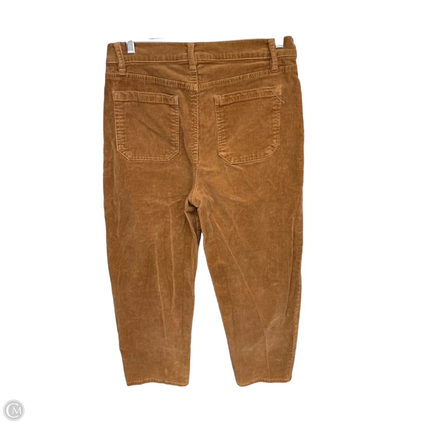 Pants Corduroy By Kensie In Brown, Size: 8