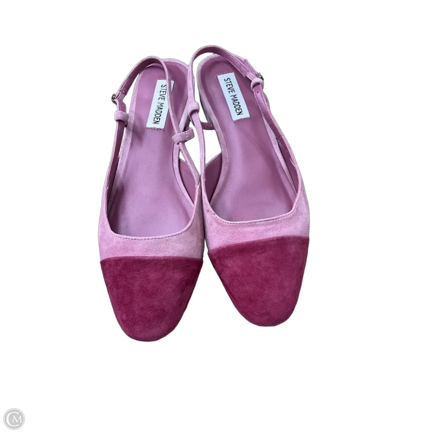 Shoes Flats By Steve Madden In Pink, Size: 8.5
