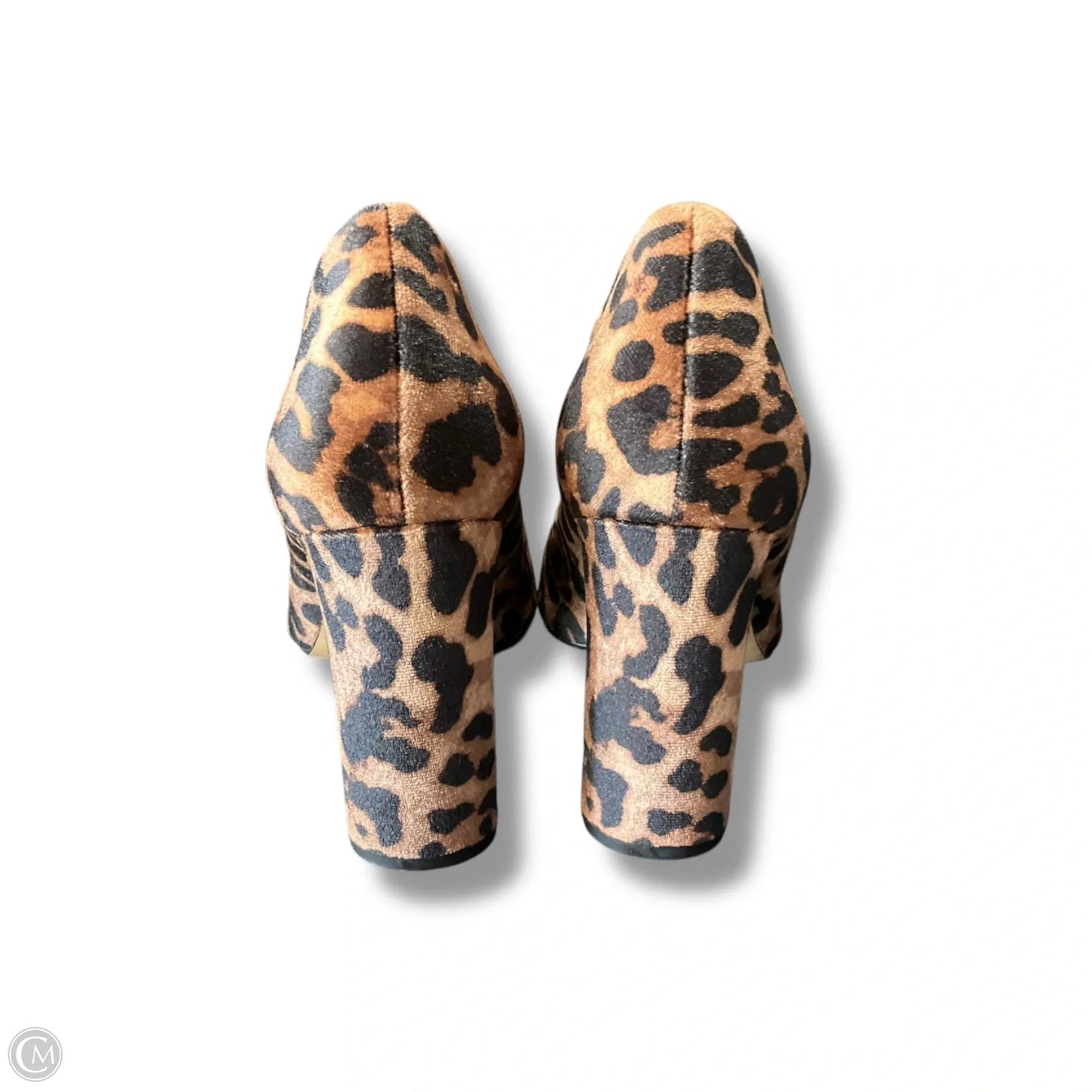 Shoes Heels Stiletto By Aldo In Animal Print, Size: 9