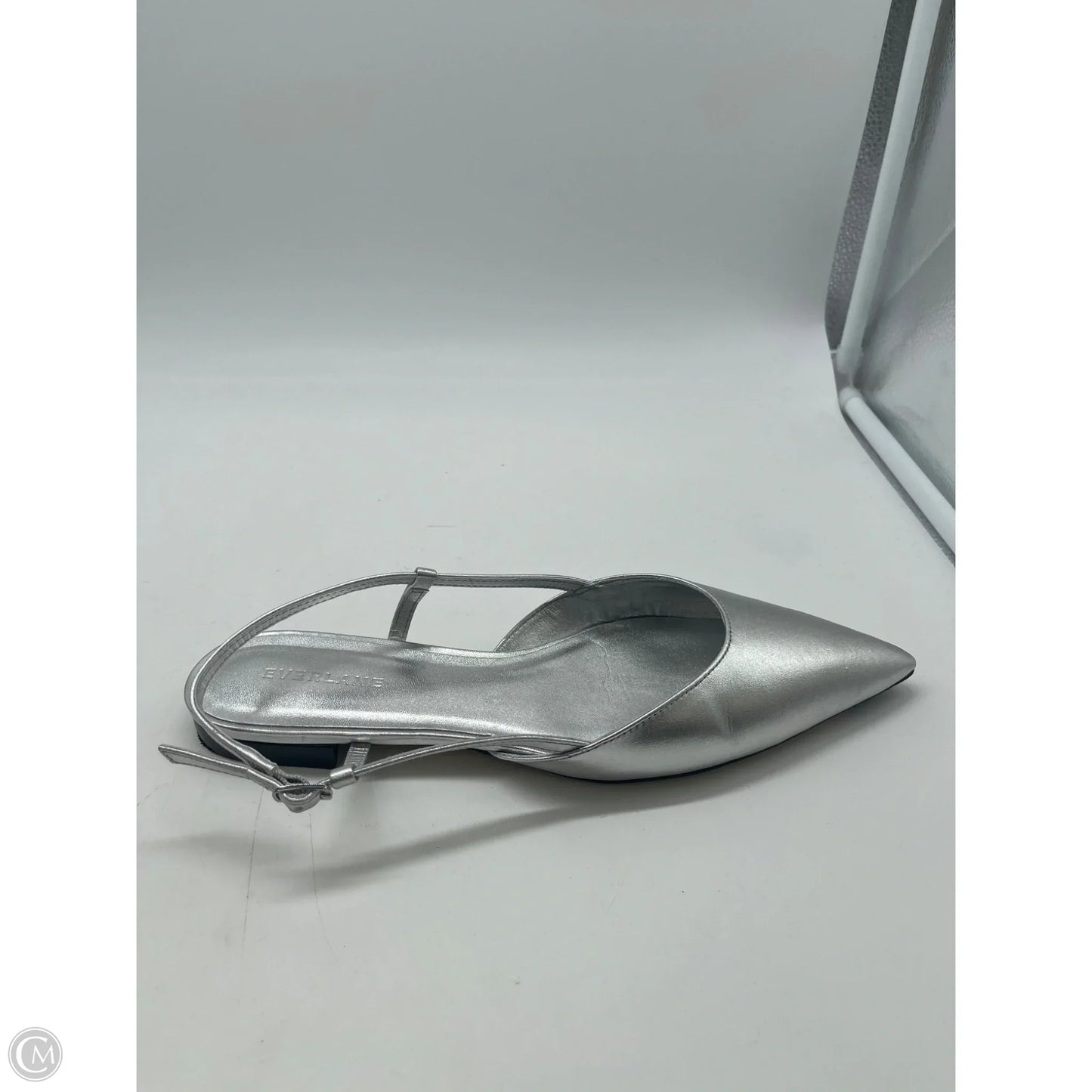 Shoes Flats By Everlane In Silver, Size: 8.5