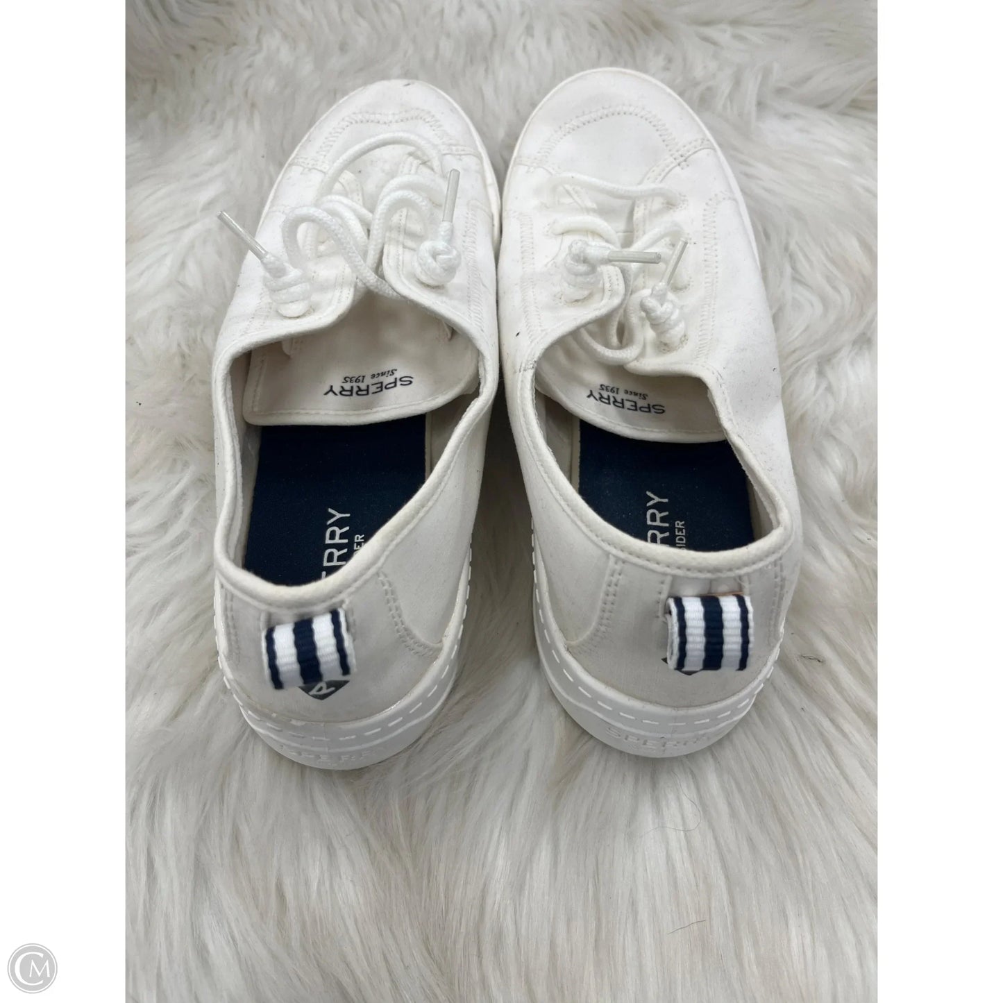 Shoes Sneakers By Sperry In White, Size: 11