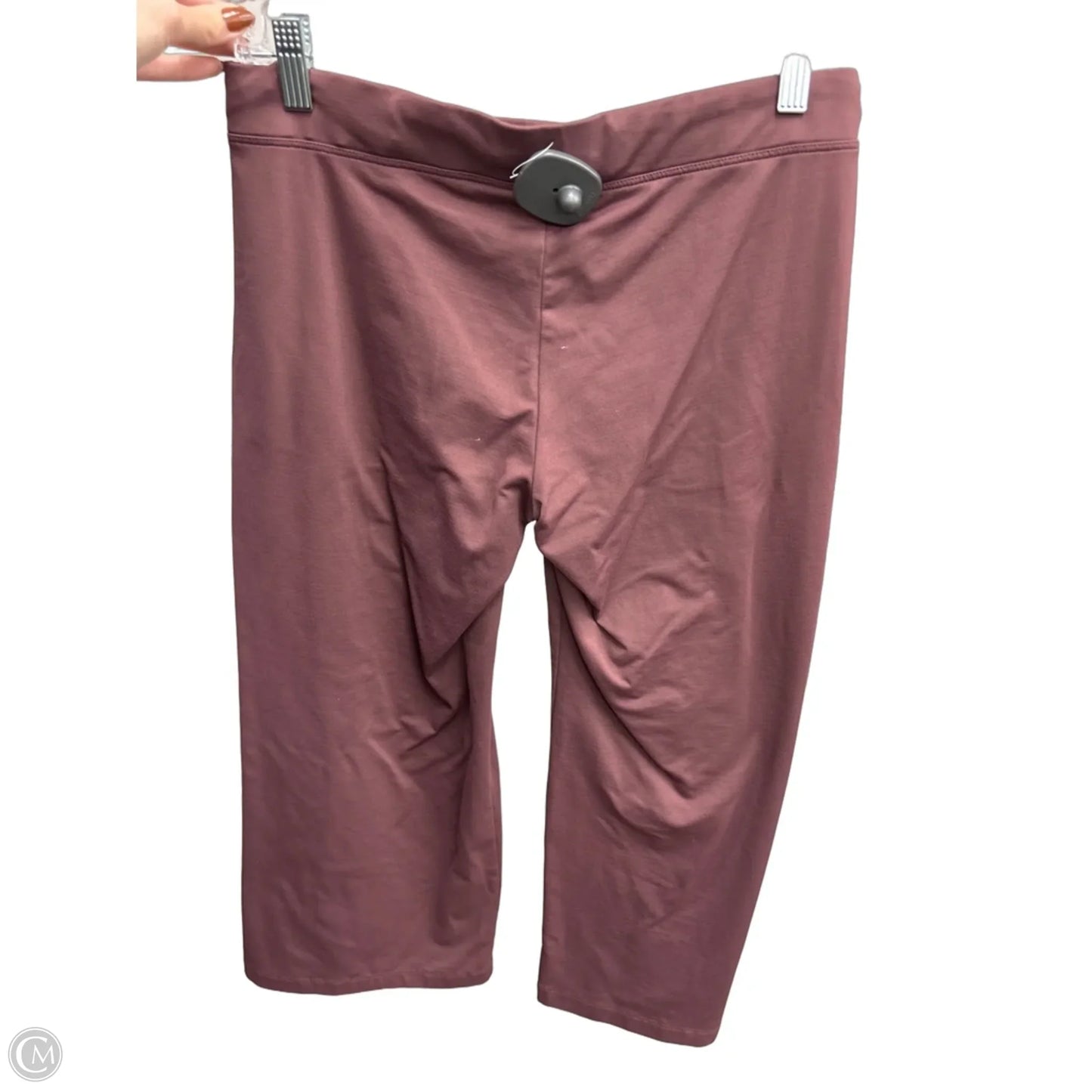 Athletic Pants By Patagonia In Purple, Size: S