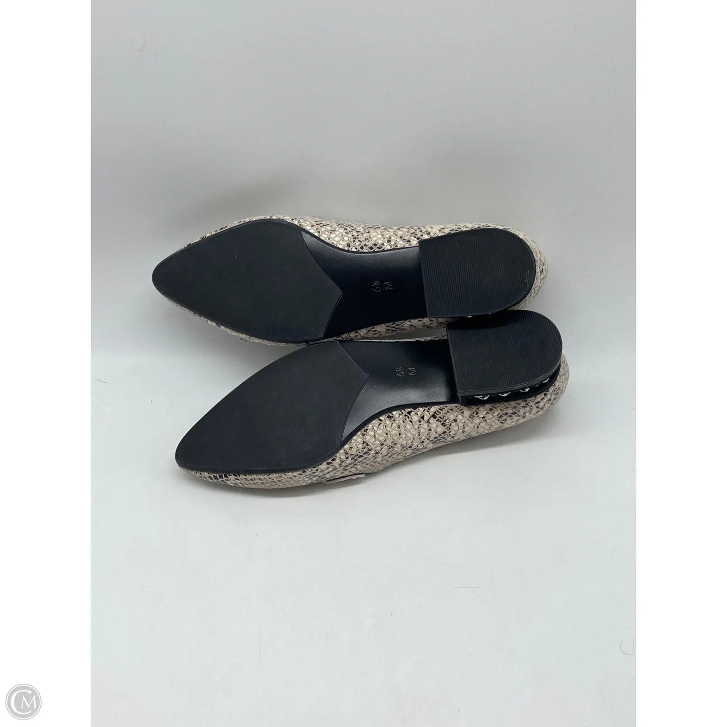 Shoes Flats By Vaneli In Animal Print, Size: 6.5