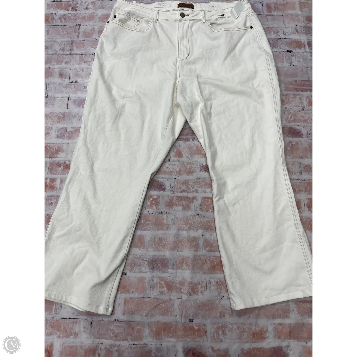Pants Other By Judy Blue In White, Size: 22