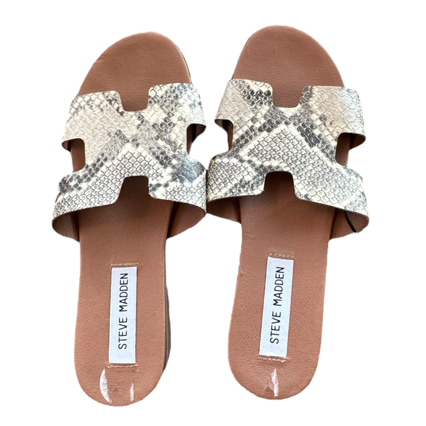 Sandals Flats By Steve Madden In Snakeskin Print, Size:7