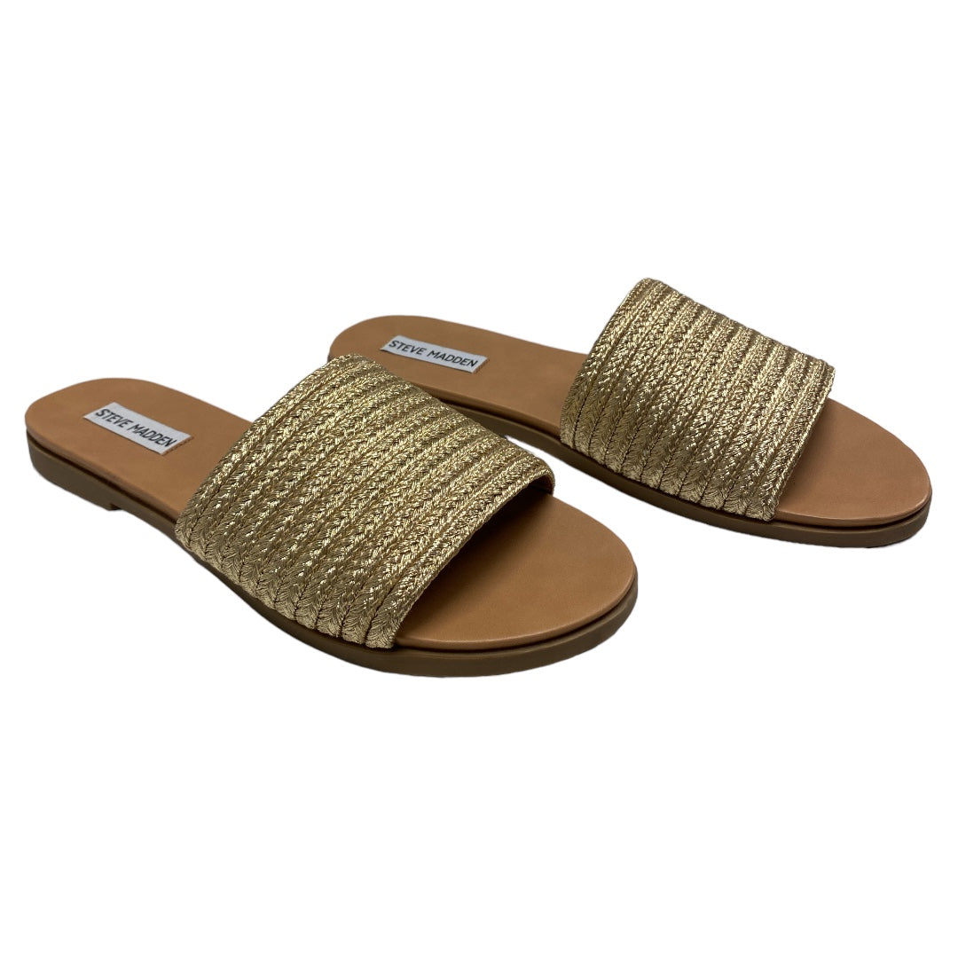Sandals Flats By Steve Madden Size: 11
