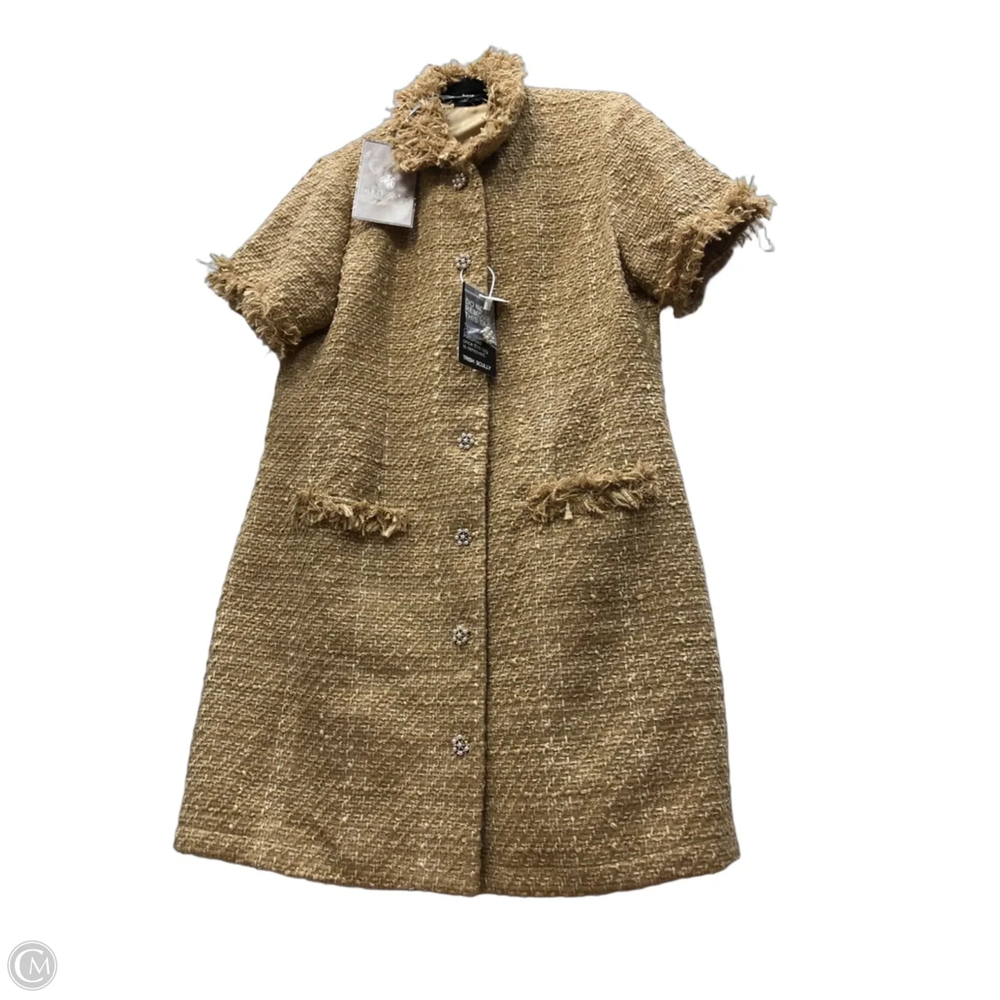 Dress Casual Short By Clothes Mentor In Brown, Size: Xl