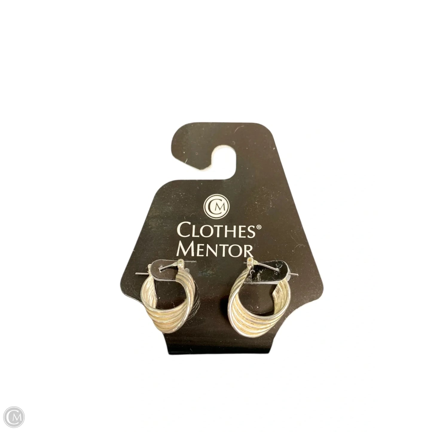 Earrings Hoop By Clothes Mentor, Size: 02 Piece Set