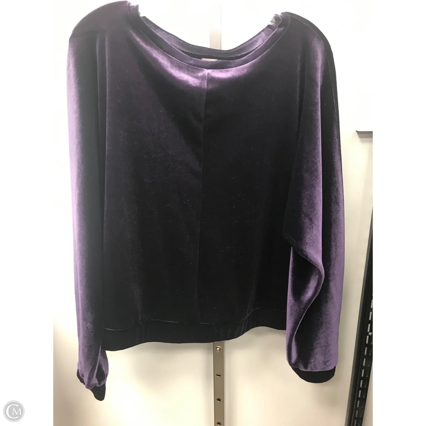 Top Long Sleeve By Cupio In Purple, Size: L