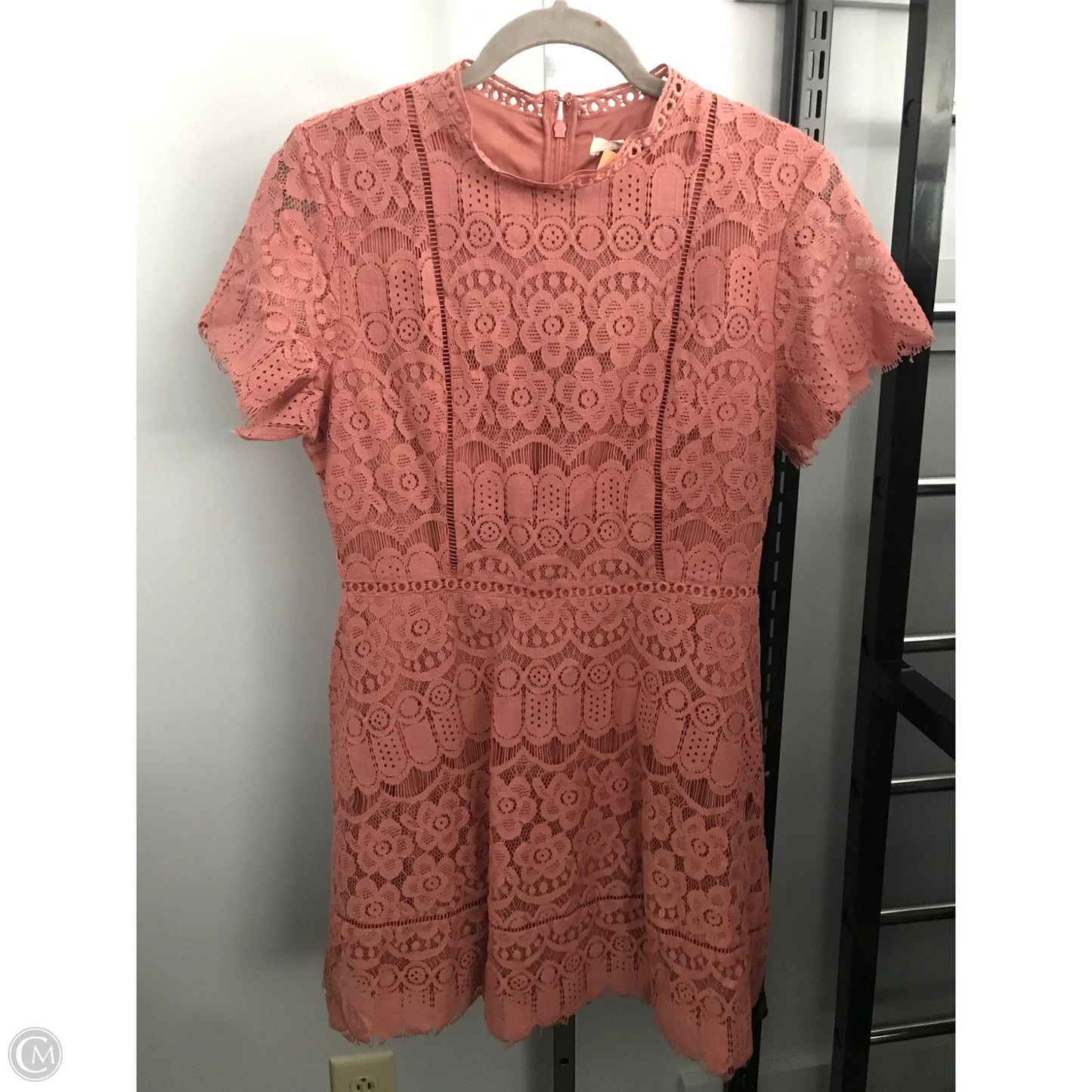 Dress Casual Short By Blu Pepper In Pink, Size: L