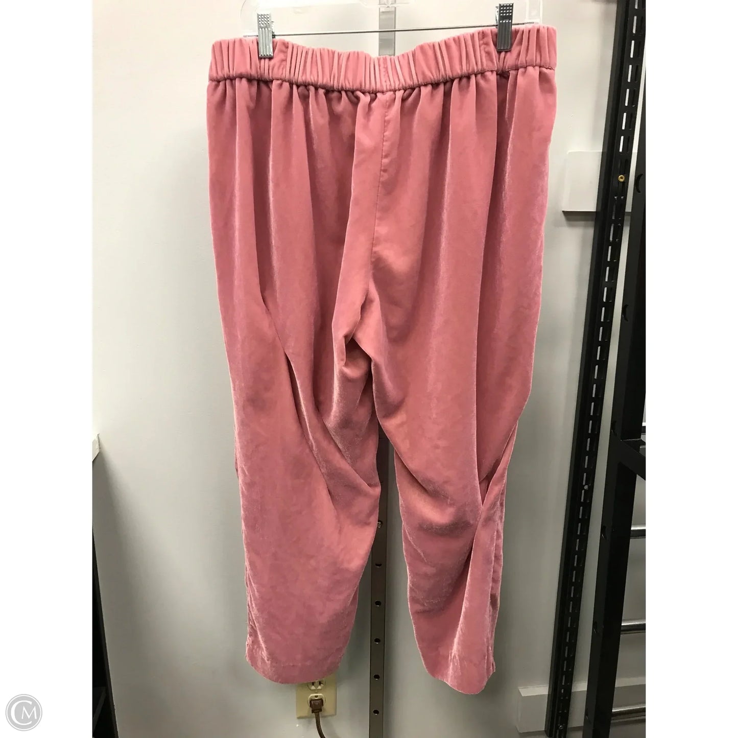 Pants Other By J. Crew In Pink, Size: 12