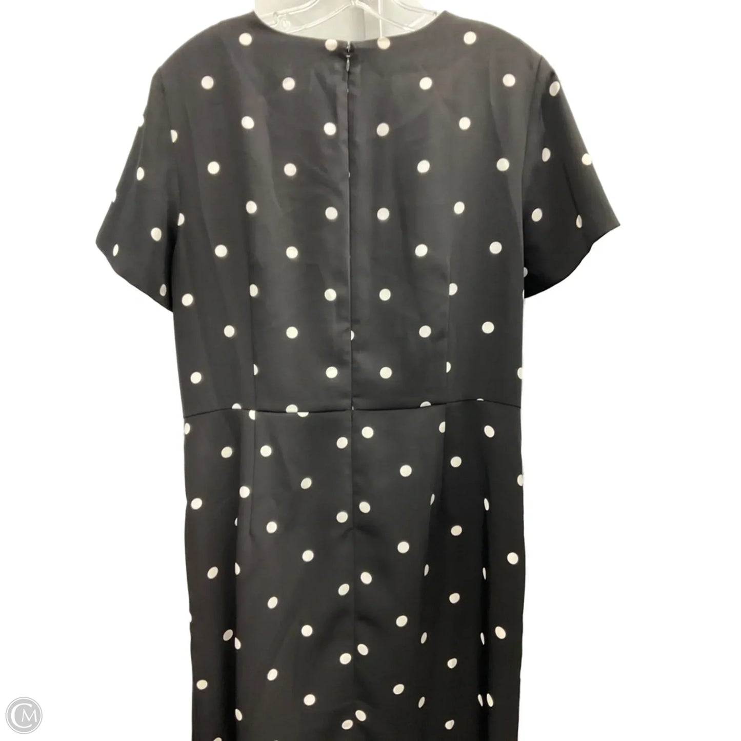 Dress Casual Short By Ann Taylor In Polkadot Pattern, Size: 14