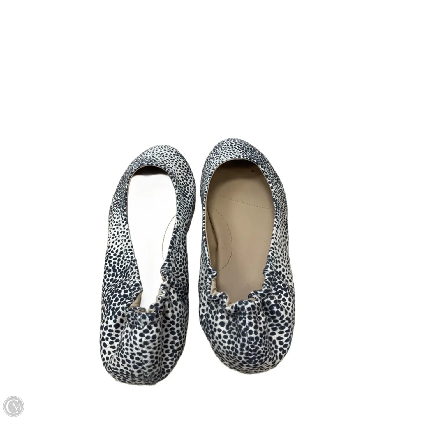 Shoes Flats By Toms In Animal Print, Size: 9.5