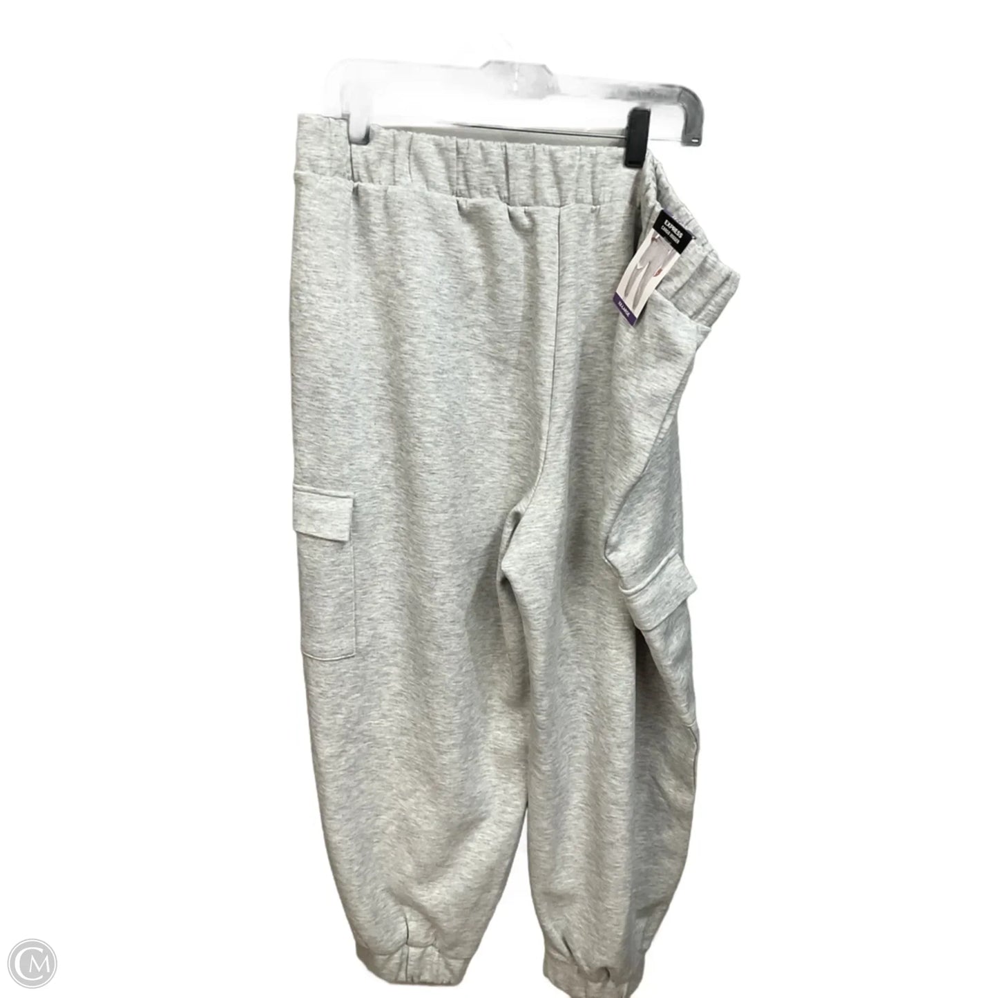 Pants Lounge By Express In Grey, Size: Xxl