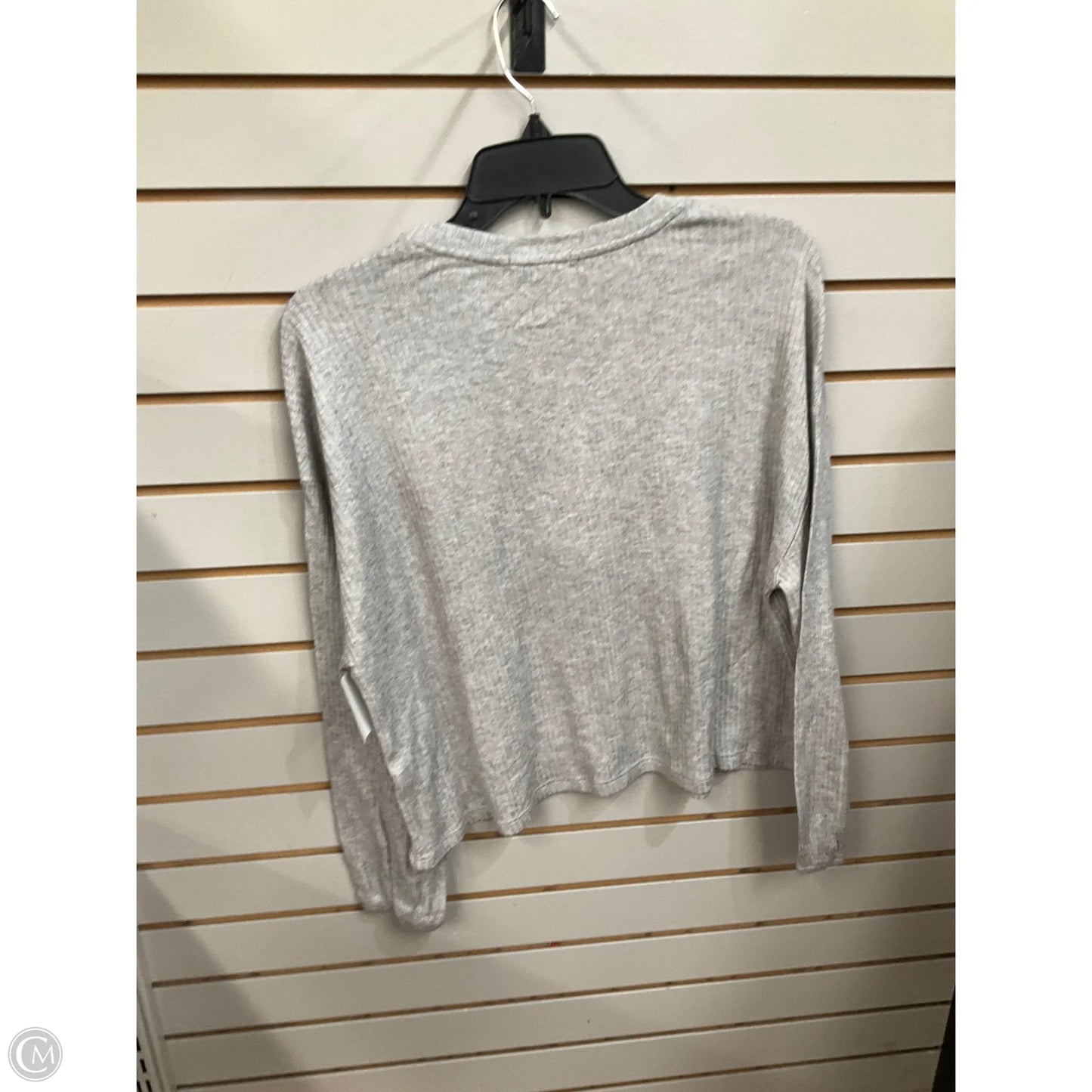 Top Long Sleeve By Z Supply In Grey, Size: Xs