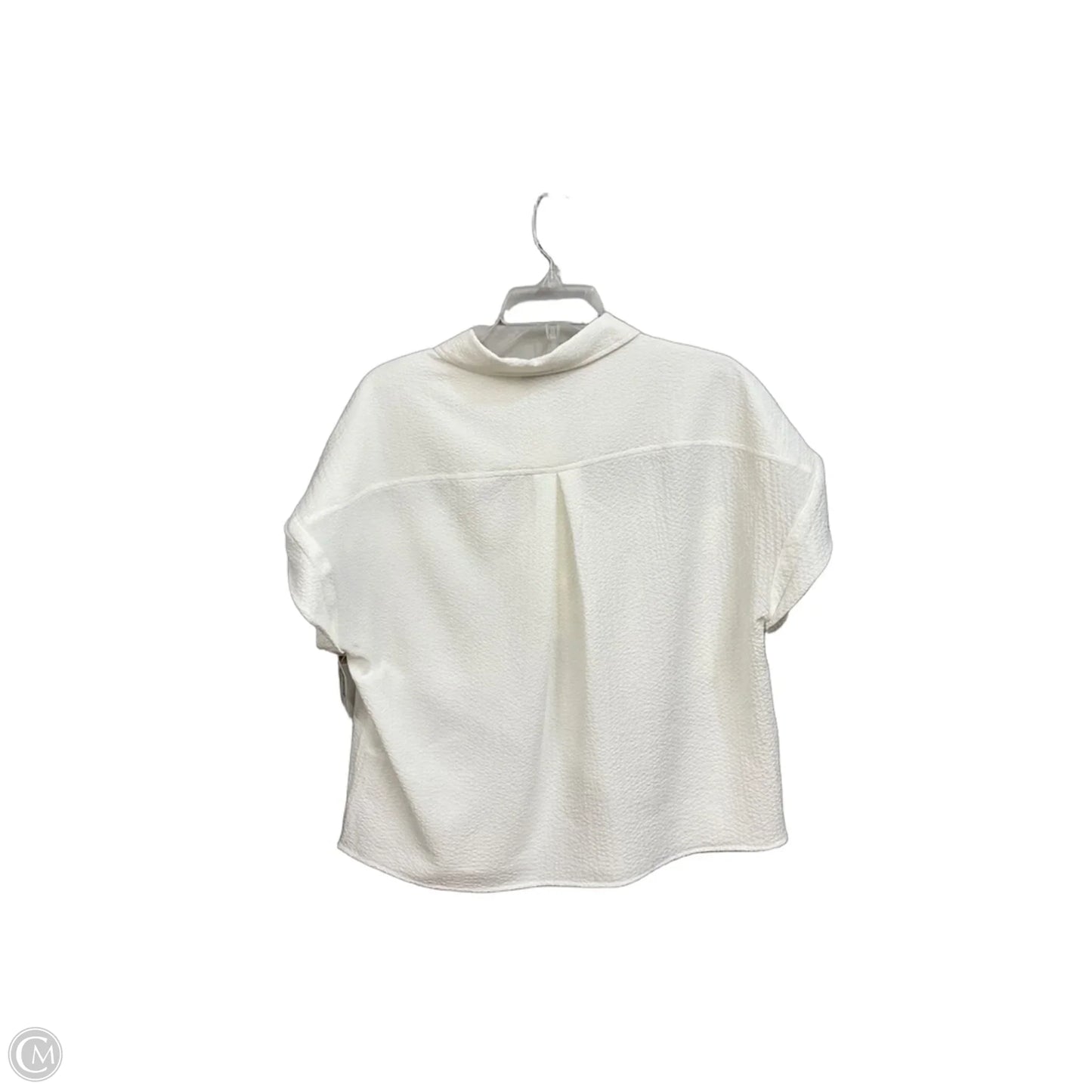Blouse Short Sleeve By Calvin Klein In Cream, Size: L