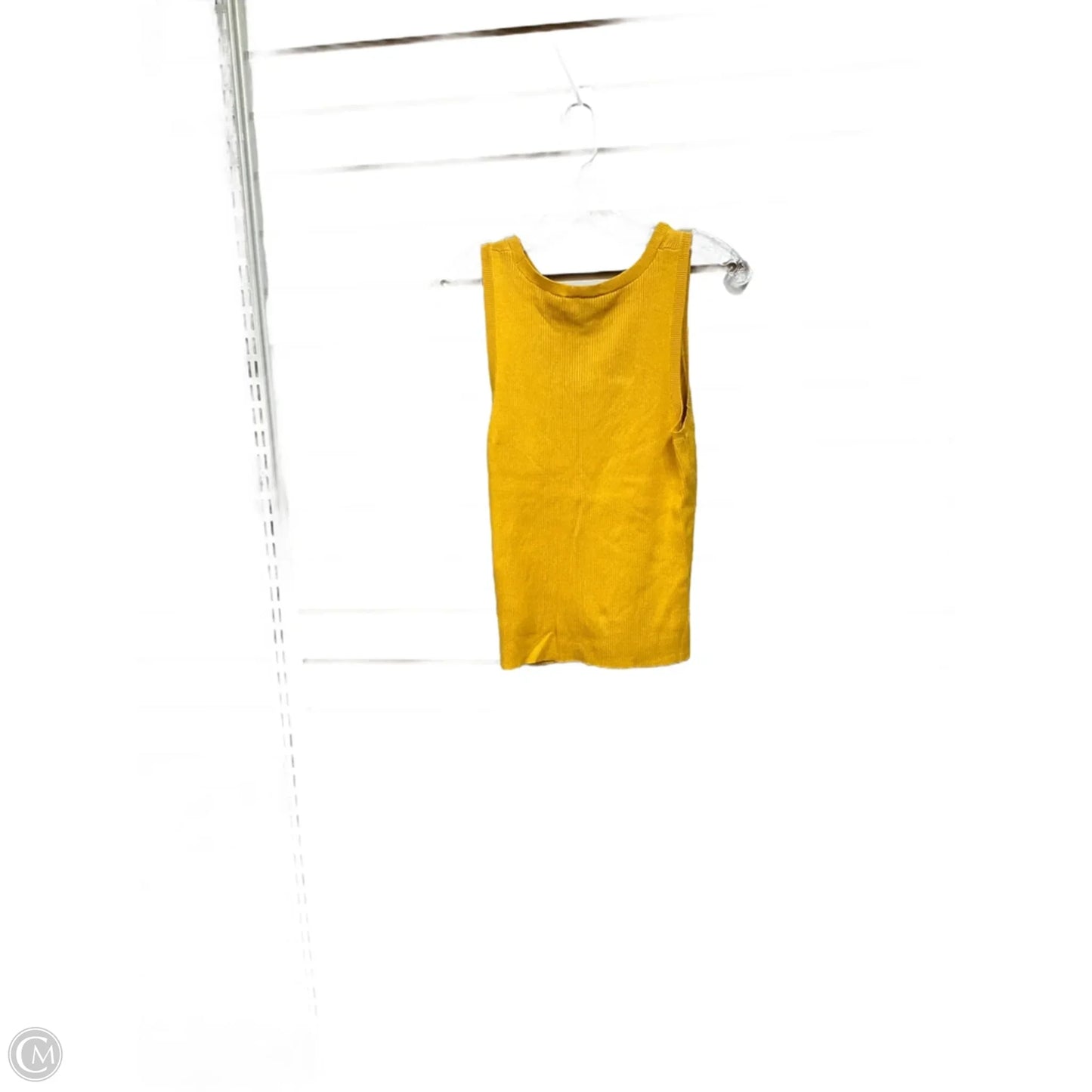 Top Sleeveless Basic By Express In Yellow, Size: M