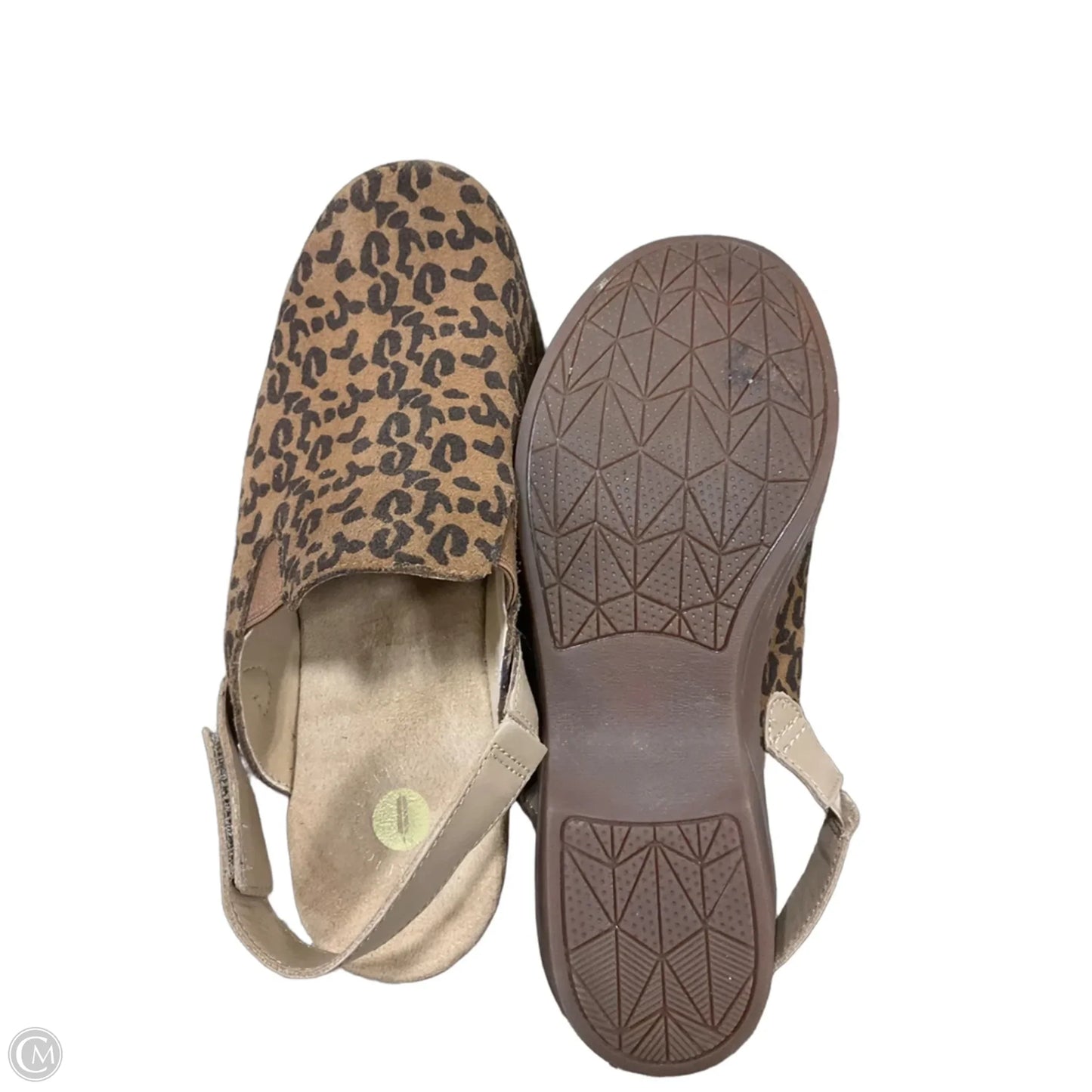 Shoes Flats By Cmc In Animal Print, Size: 8