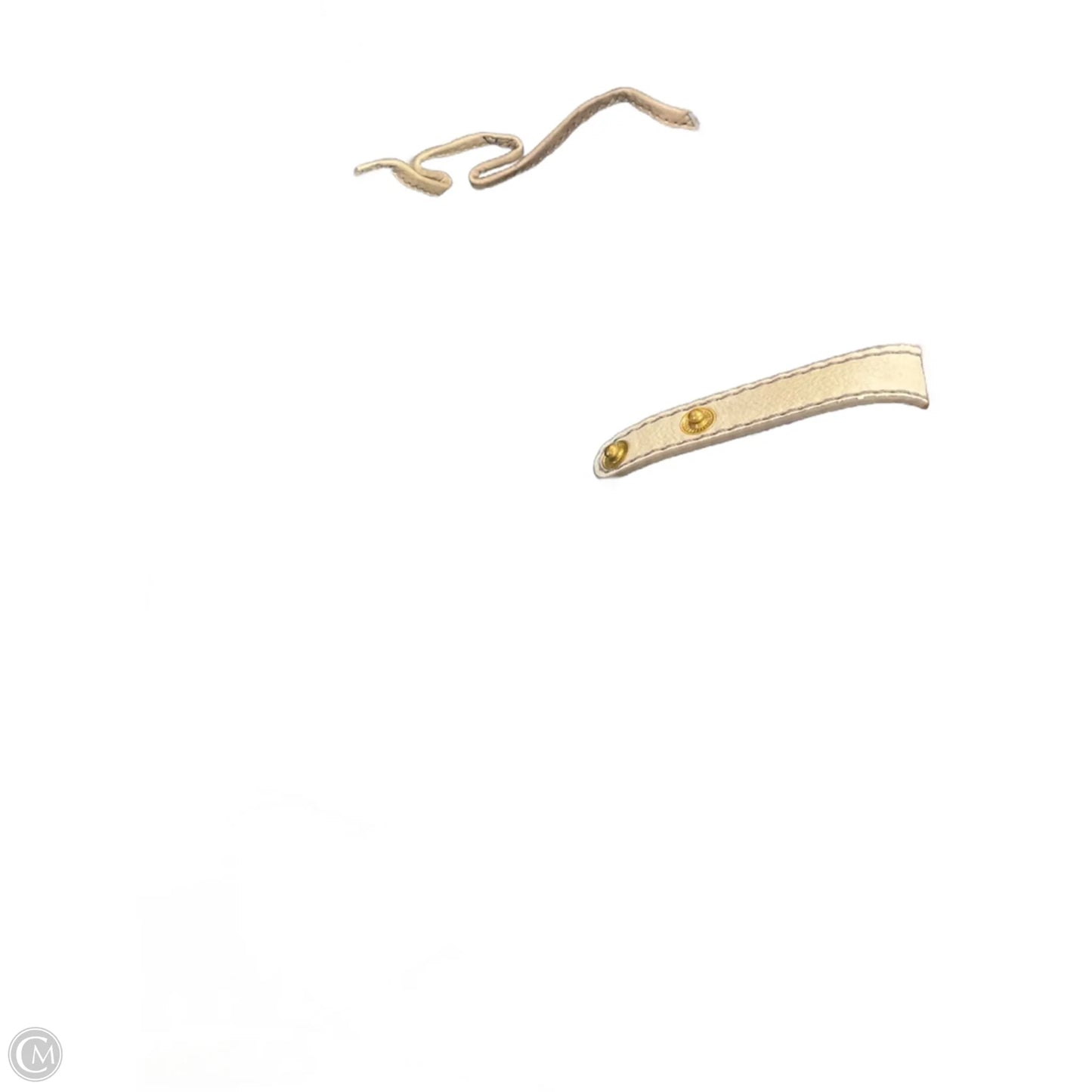 Backpack Designer By Coach, Size: Medium