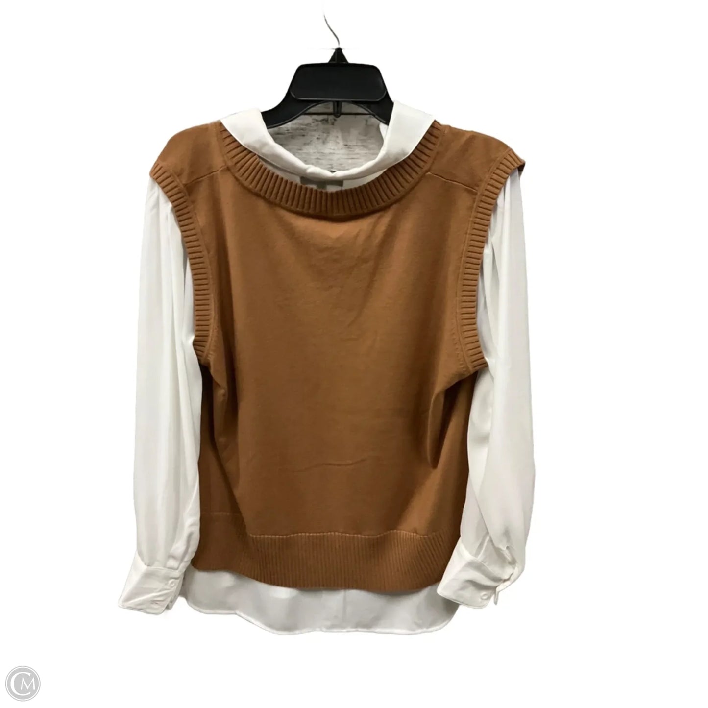 Top Long Sleeve By Adrianna Papell In Tan & White, Size: Xl