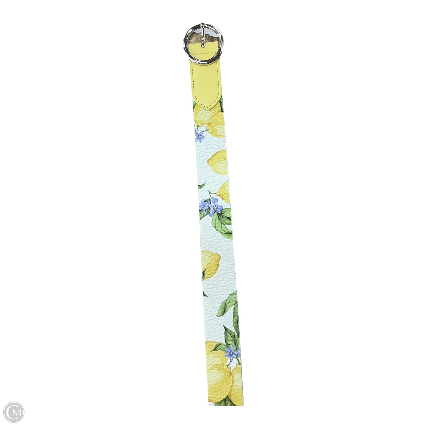 Belt Leather By Talbots, Size: Large