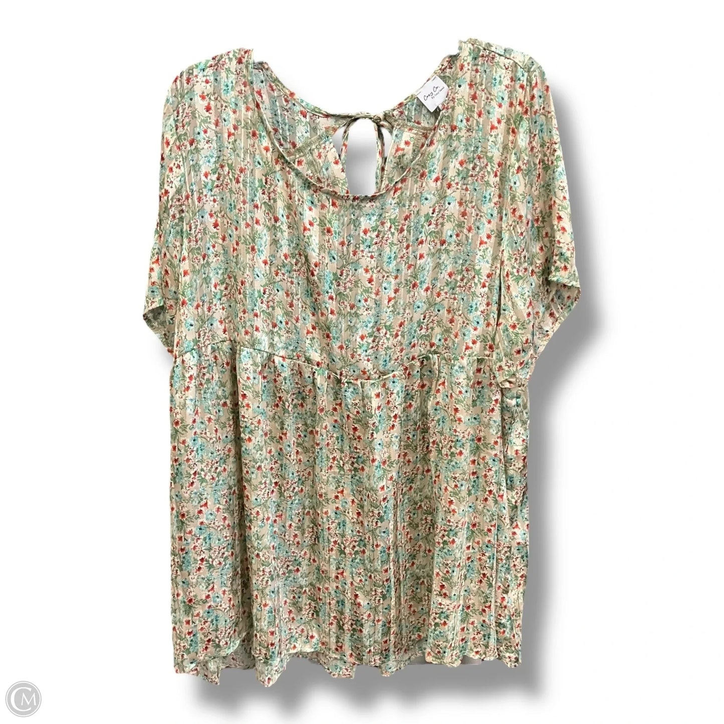 Top Sleeveless By Cozy In Floral Print, Size: 3x