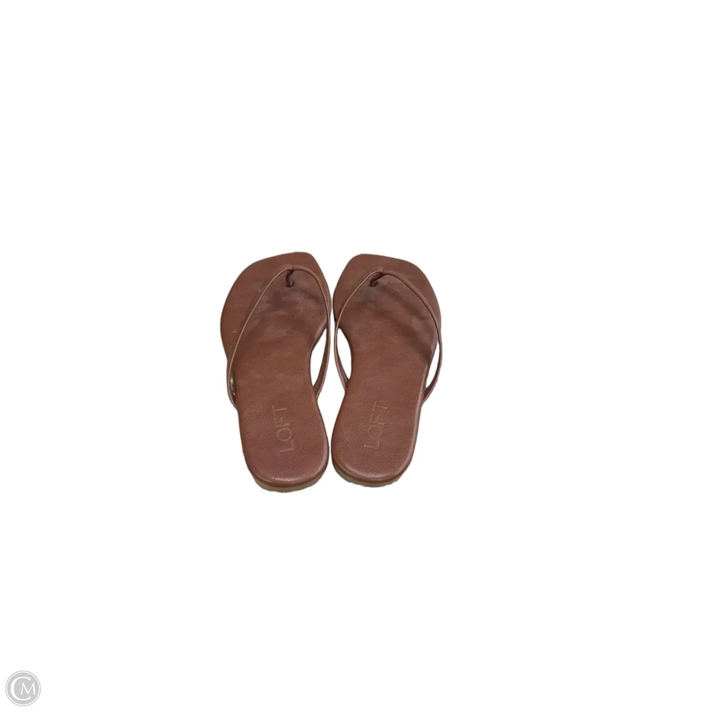 Sandals Flip Flops By Loft In Brown, Size: 7