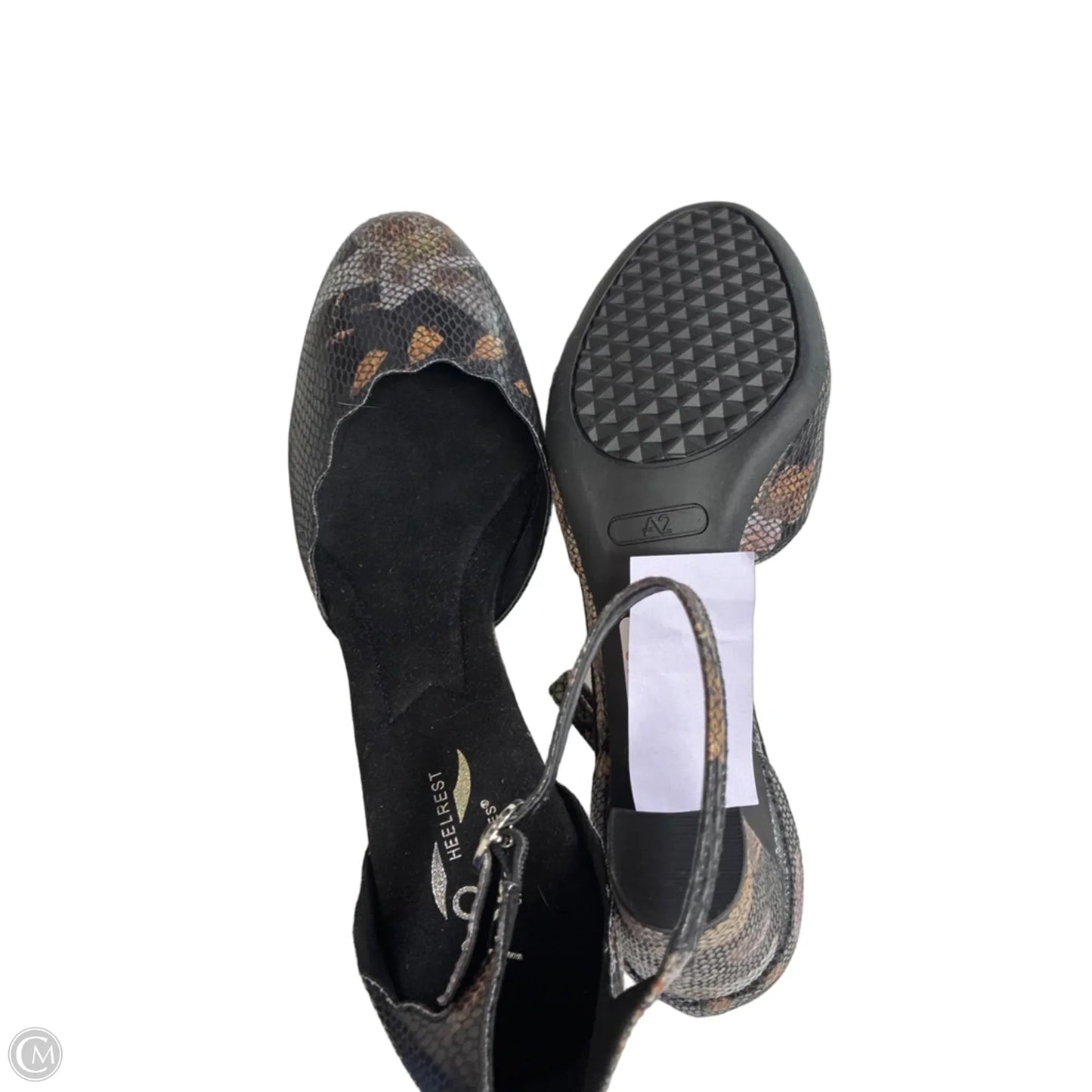 Shoes Heels Block By Aerosoles In Snakeskin Print, Size: 11