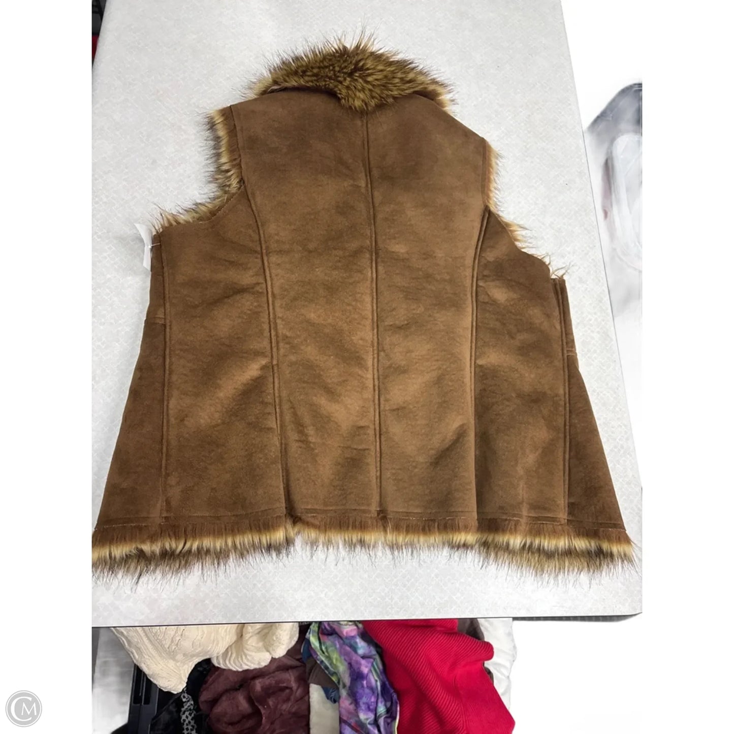 Vest Faux Fur & Sherpa By Chicos In Animal Print, Size: L