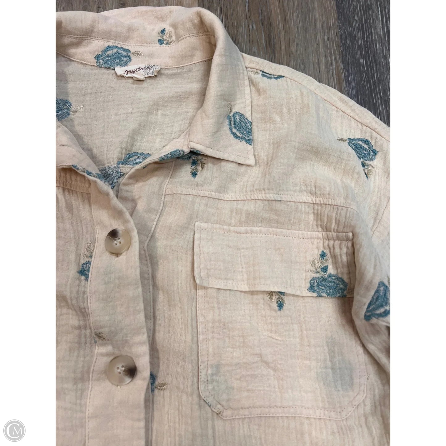 Blouse Long Sleeve By Mystree In Blue & Cream, Size: S