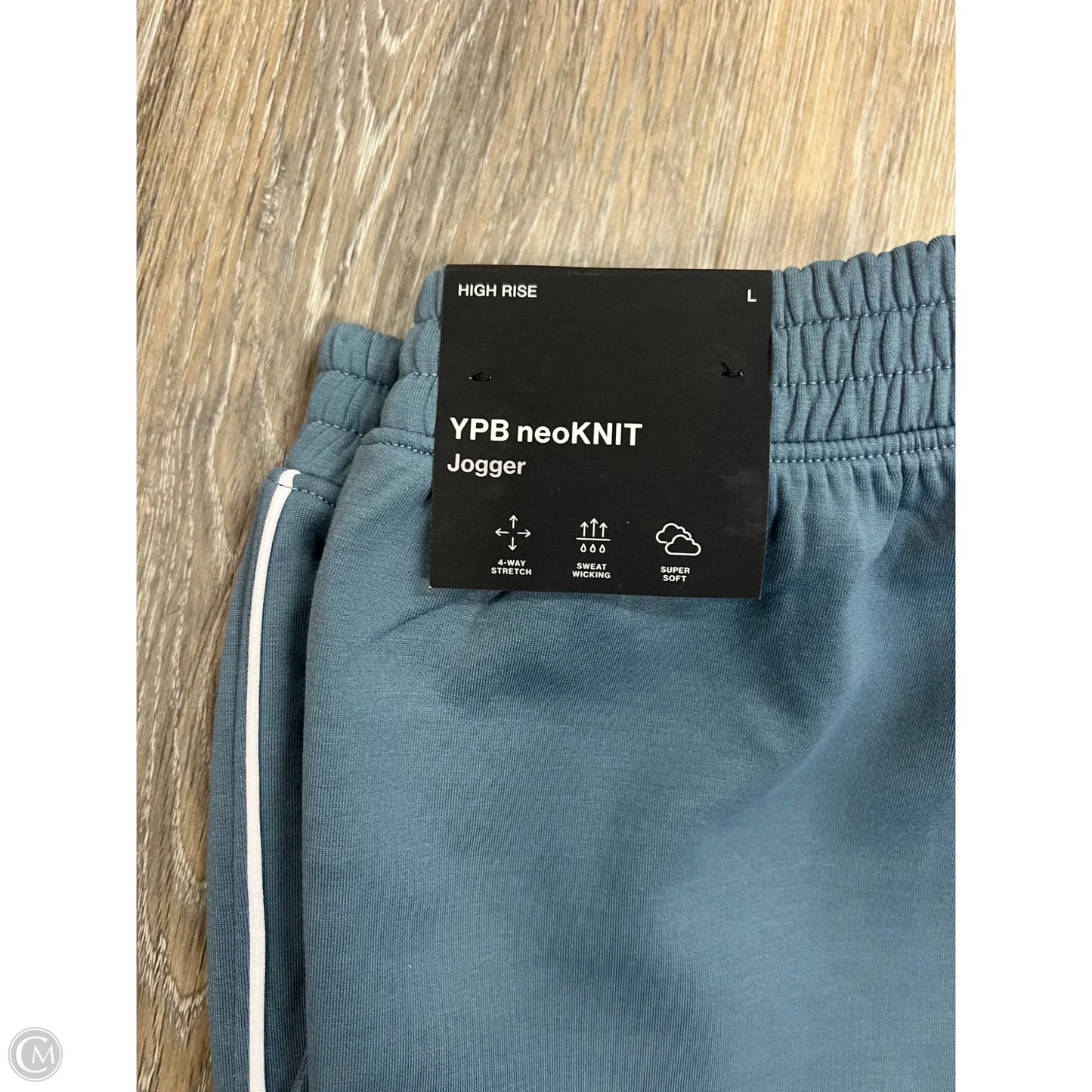 Athletic Pants By Ypb In Blue, Size: L