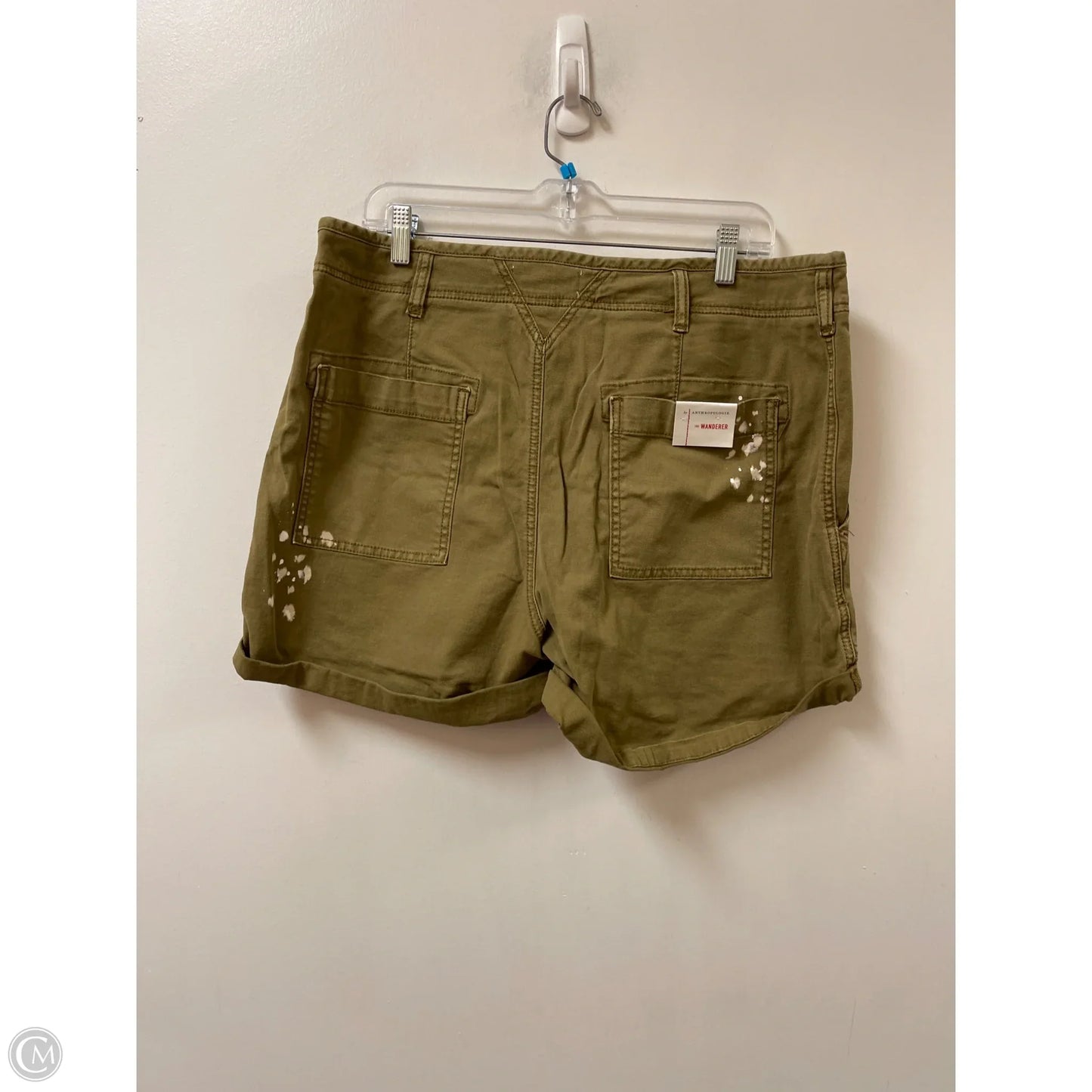 Shorts By Anthropologie In Green, Size: 14