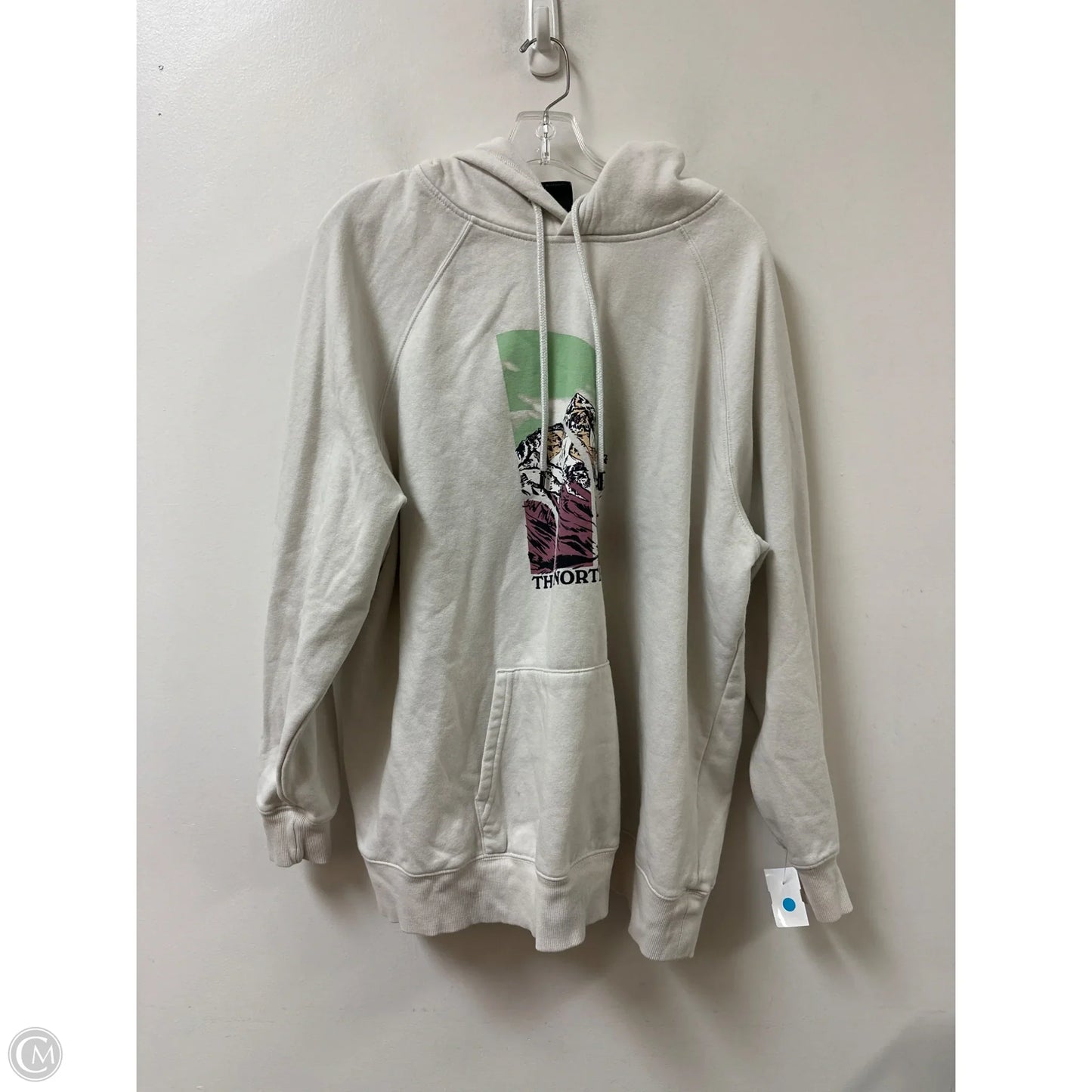 Sweatshirt Hoodie By The North Face In Cream, Size: 3x