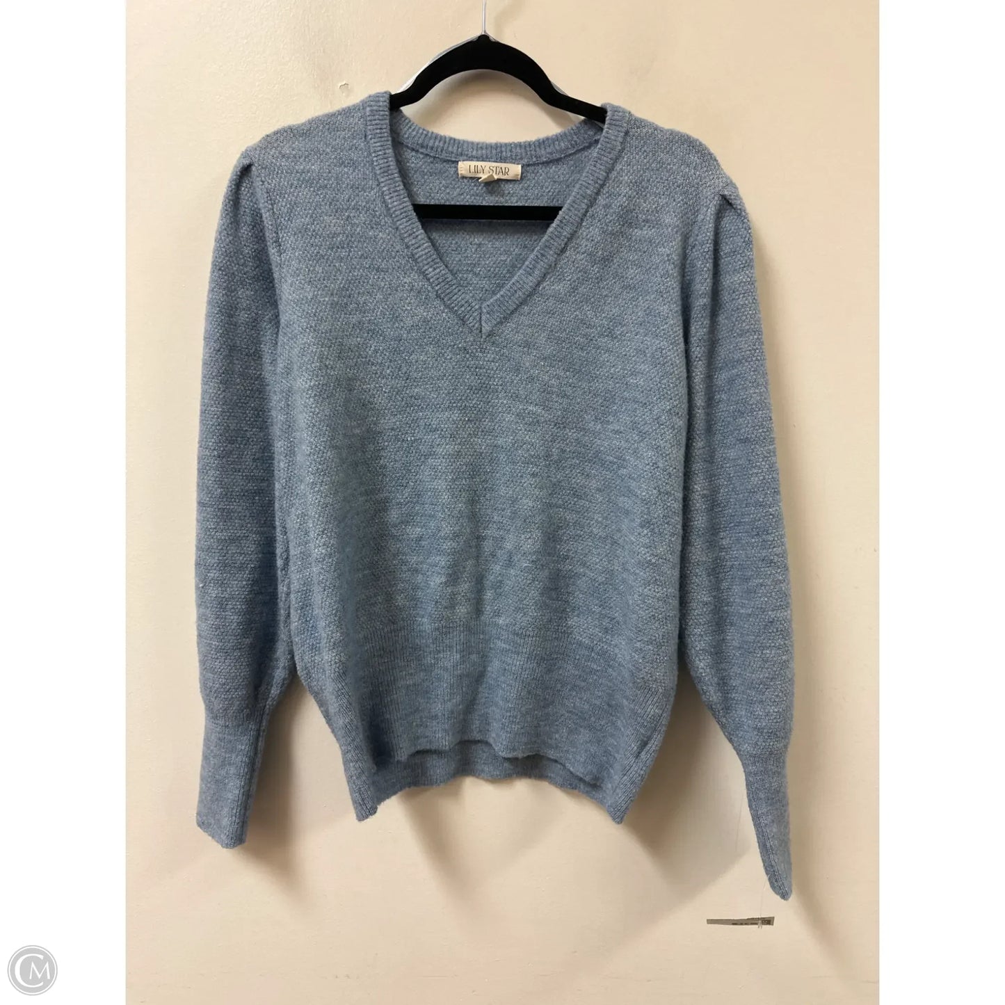 Sweater By Clothes Mentor In Blue, Size: M