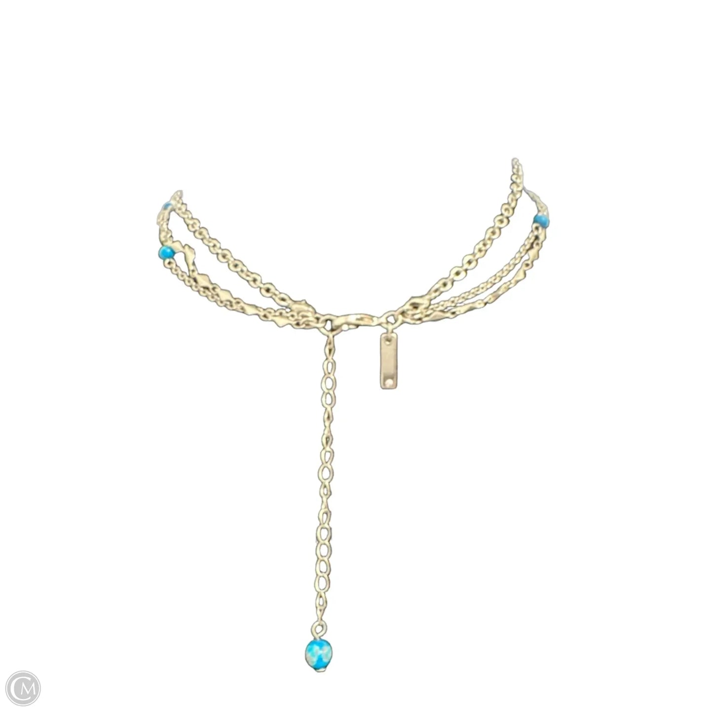 Necklace Lariat & Y-drop By White House Black Market