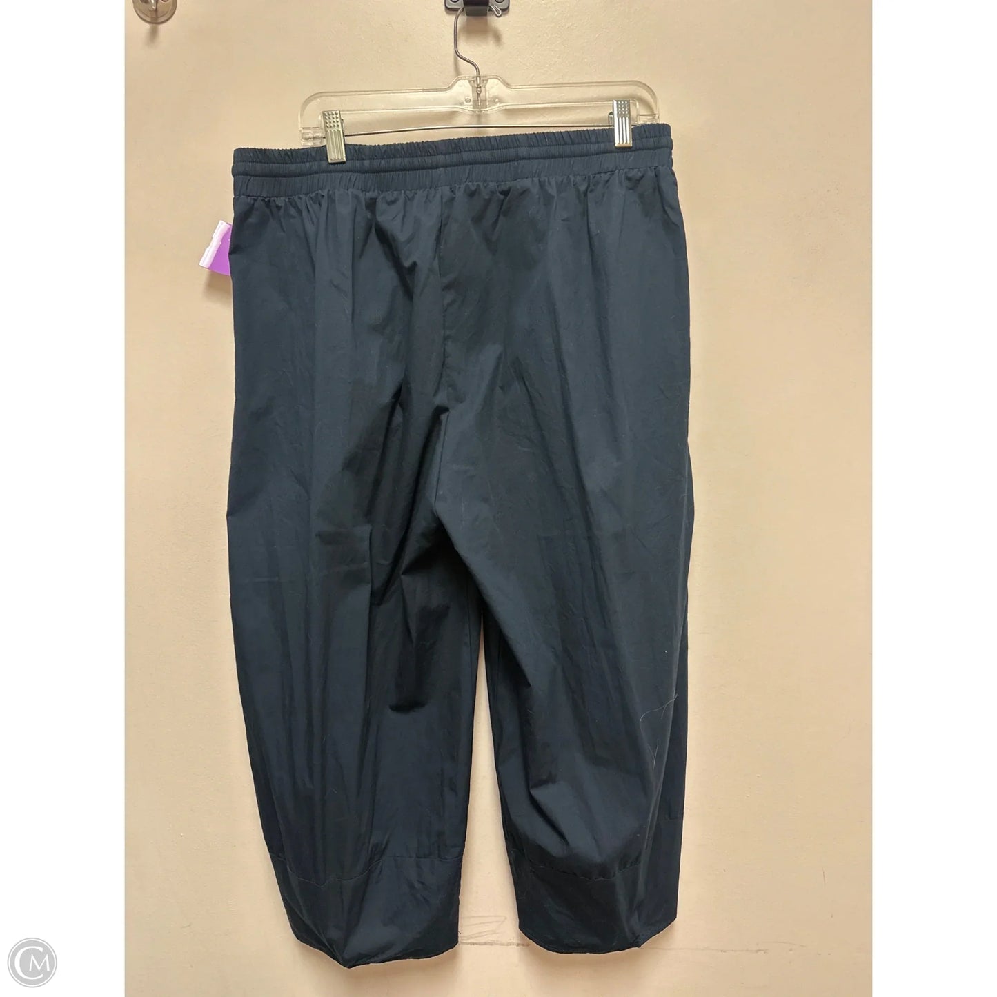 Pants Other By Clothes Mentor In Navy, Size: 20