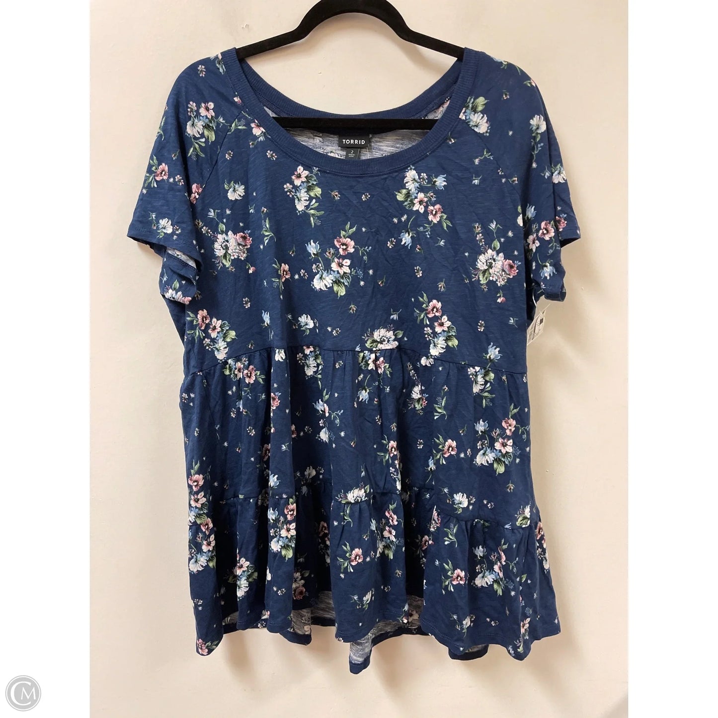 Top Short Sleeve By Torrid In Blue, Size: 2x
