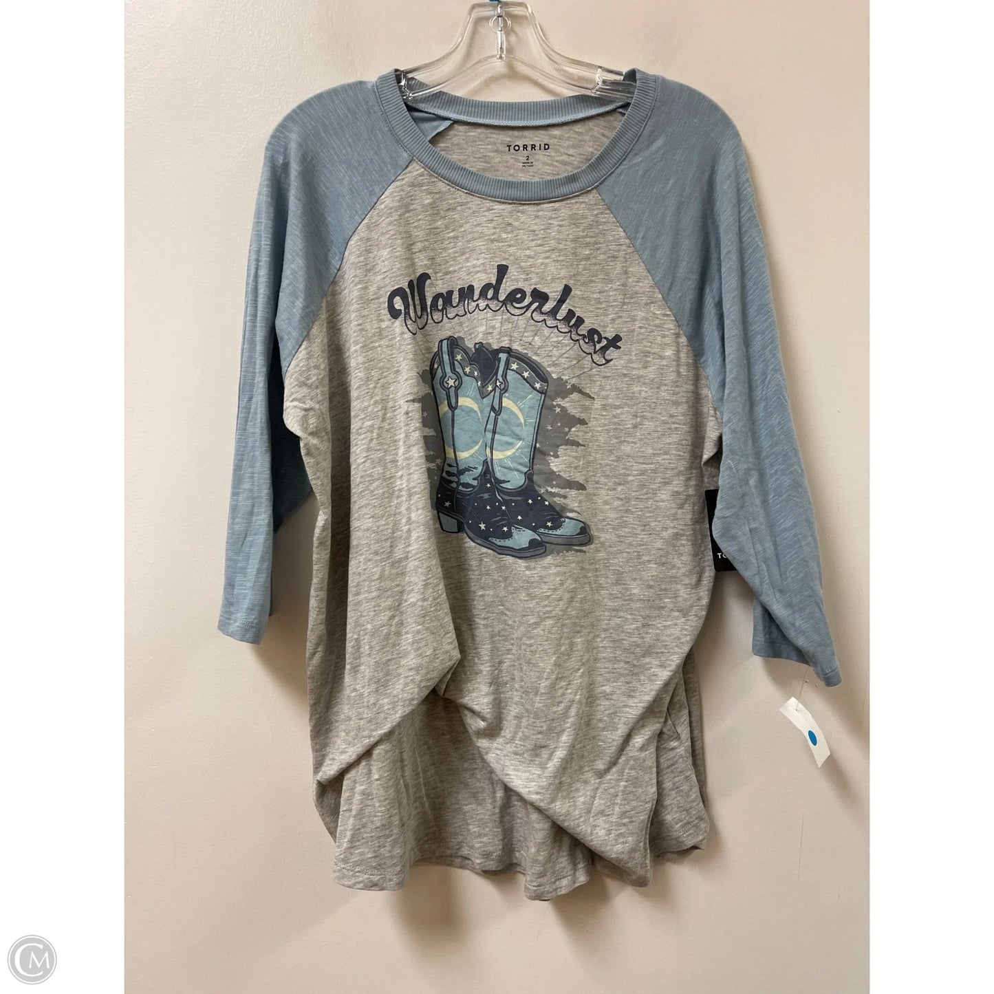 Top Long Sleeve By Torrid In Blue & Grey, Size: 2x