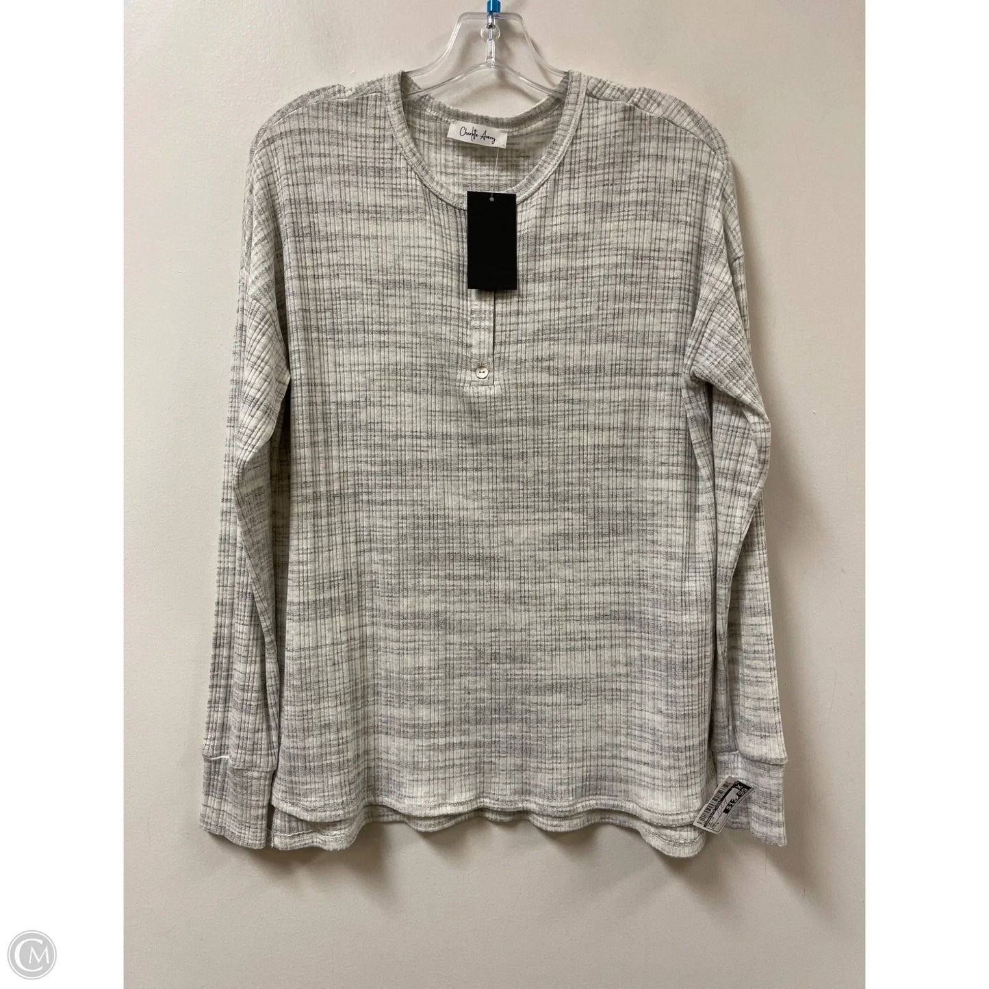Top Long Sleeve By Charlotte Avery In Grey, Size: S