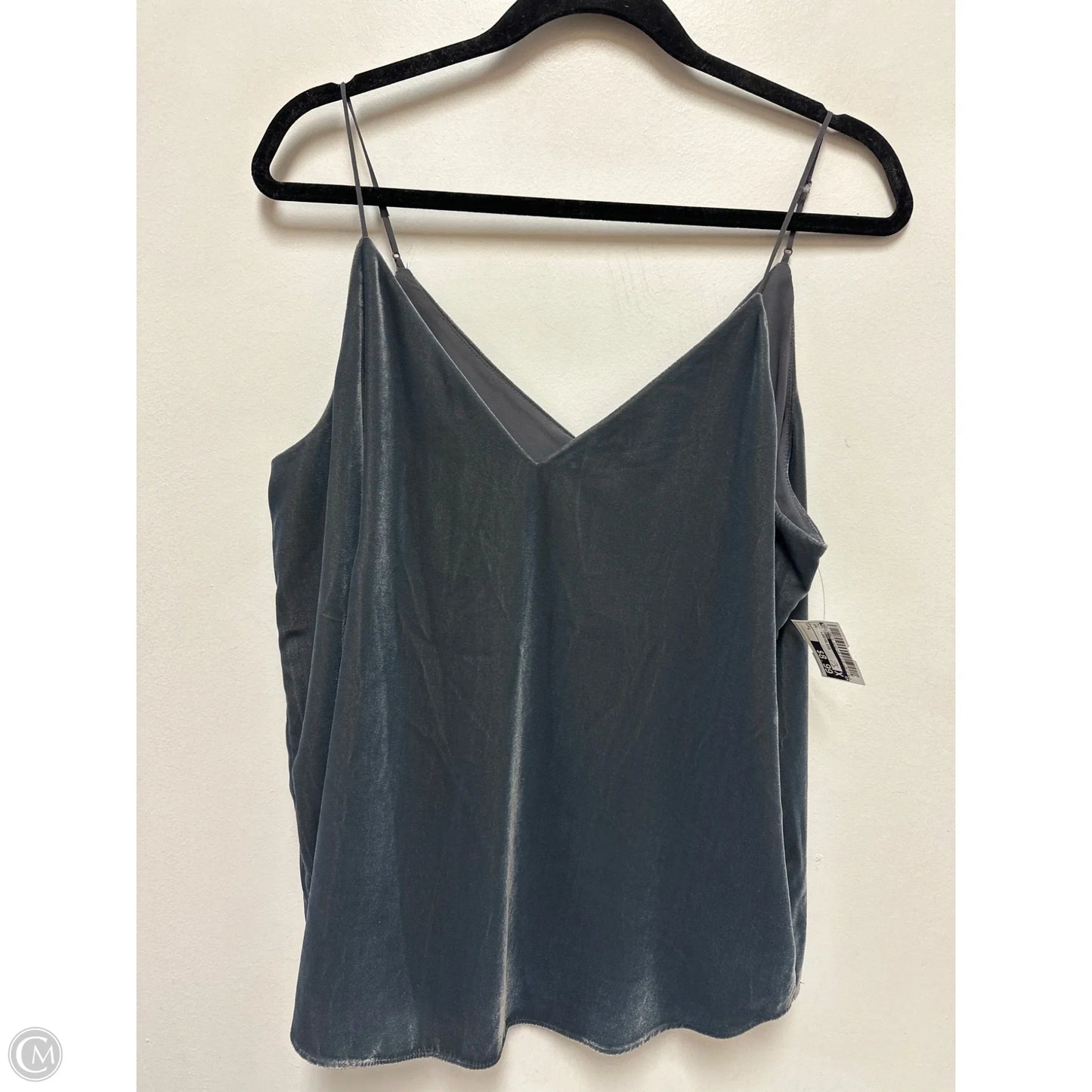 Top Sleeveless By Express In Grey, Size: L