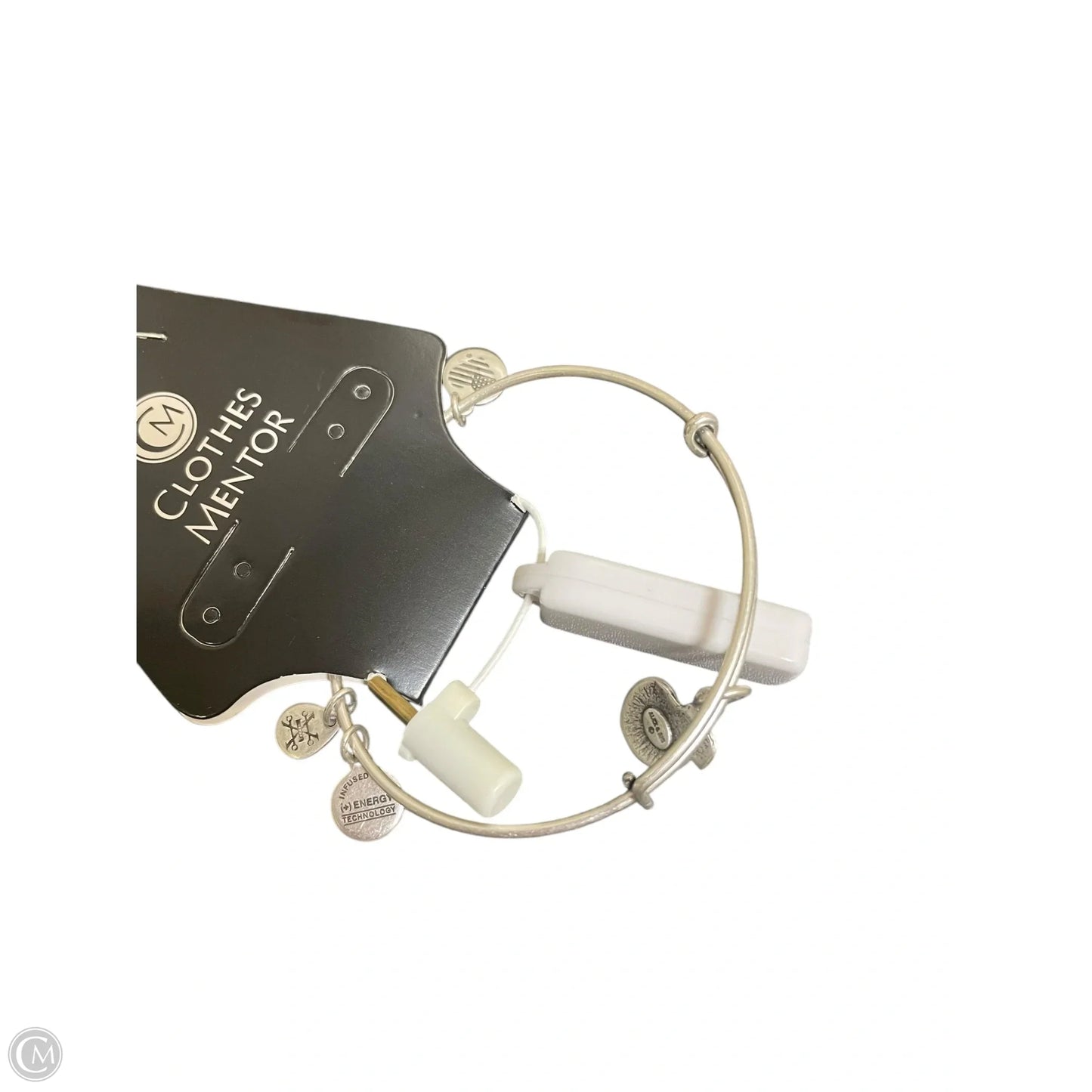 Bracelet Charm By Alex And Ani