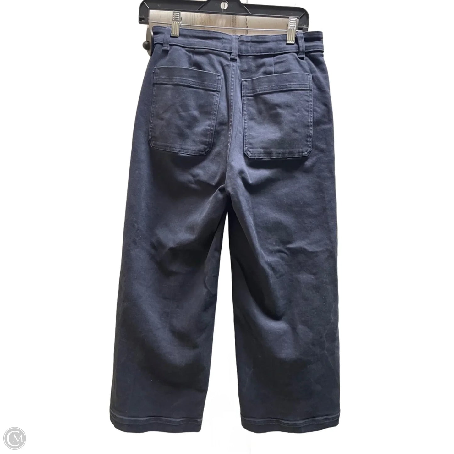 Pants Other By Everlane In Blue, Size: 6