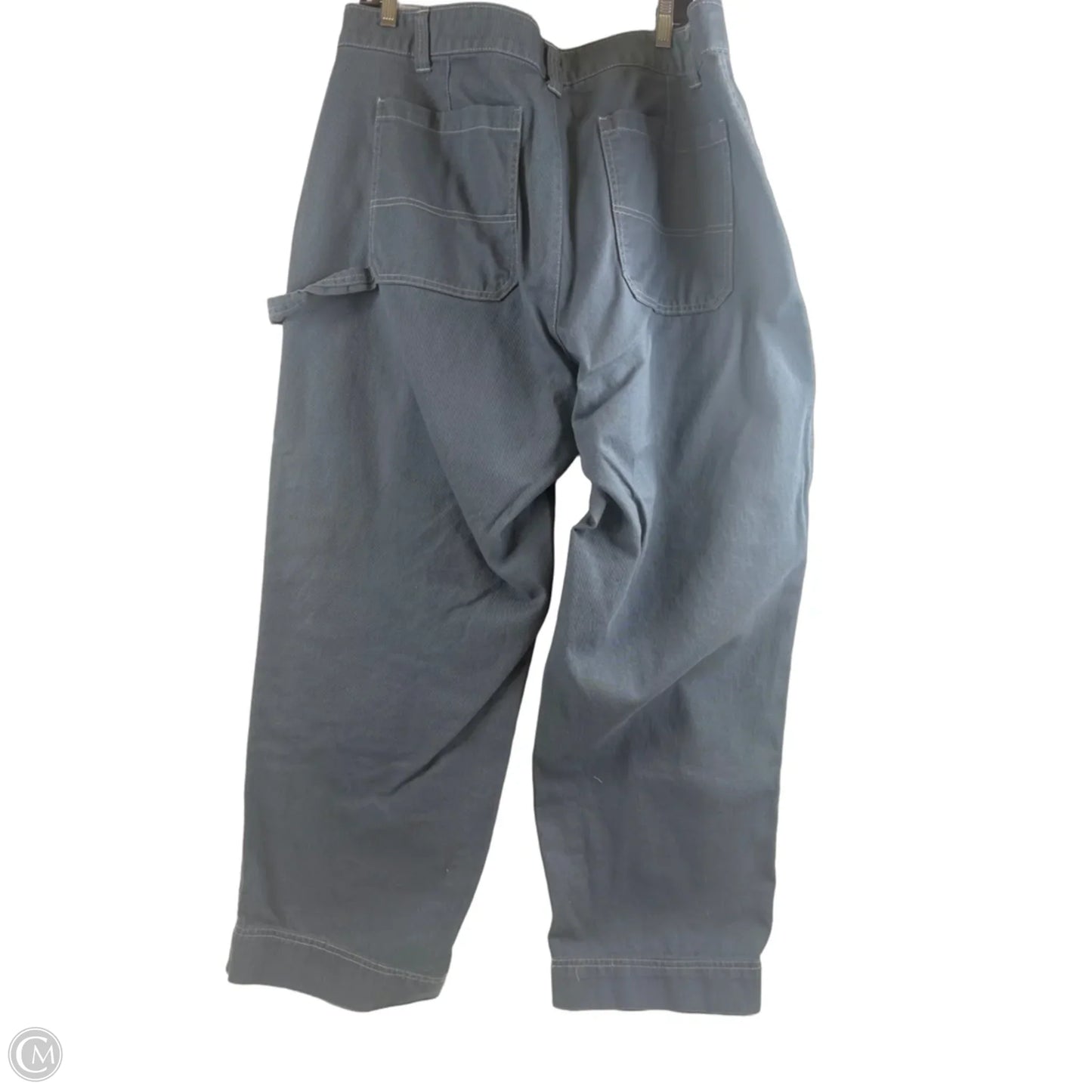 Pants Cargo & Utility By Old Navy In Blue, Size: 18
