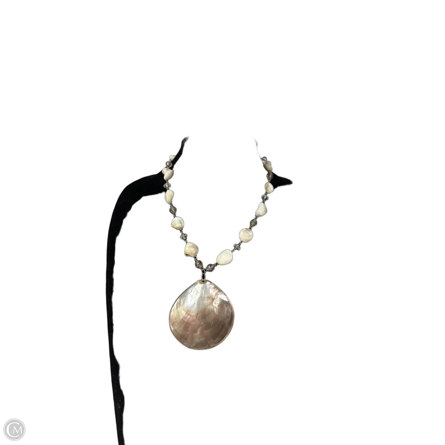 Necklace Pendant By Clothes Mentor