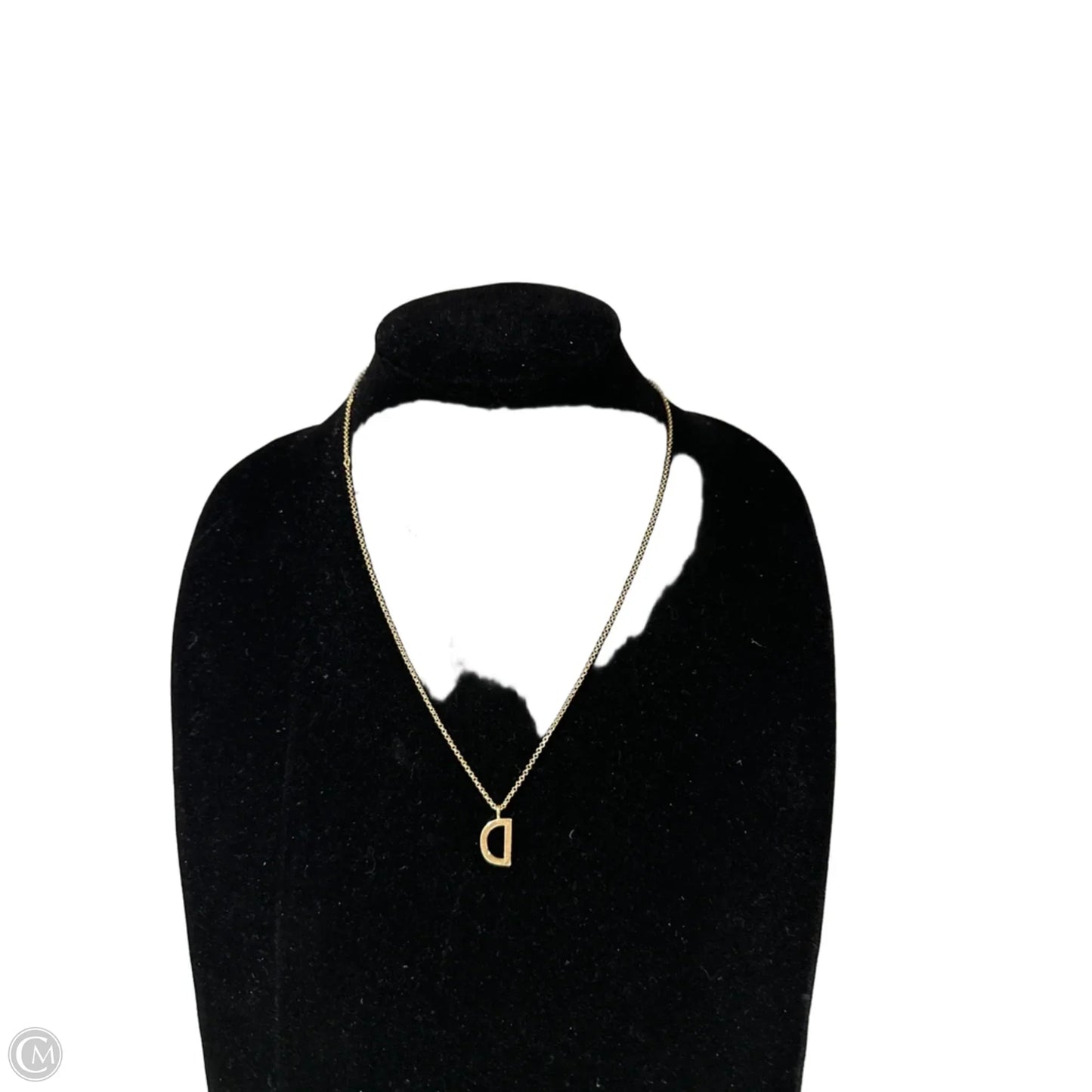 Necklace Chain By Clothes Mentor