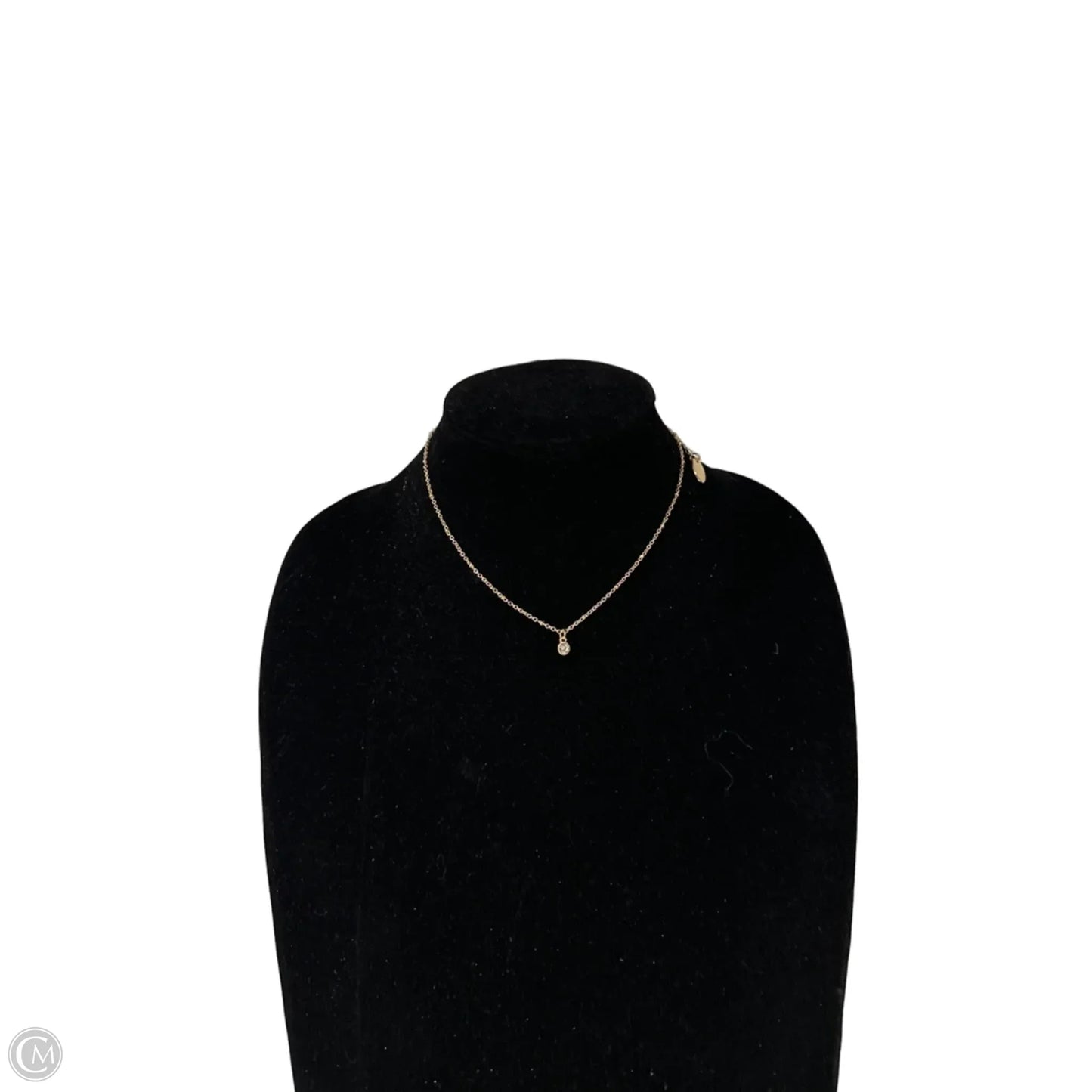 Necklace Chain By Time And Tru