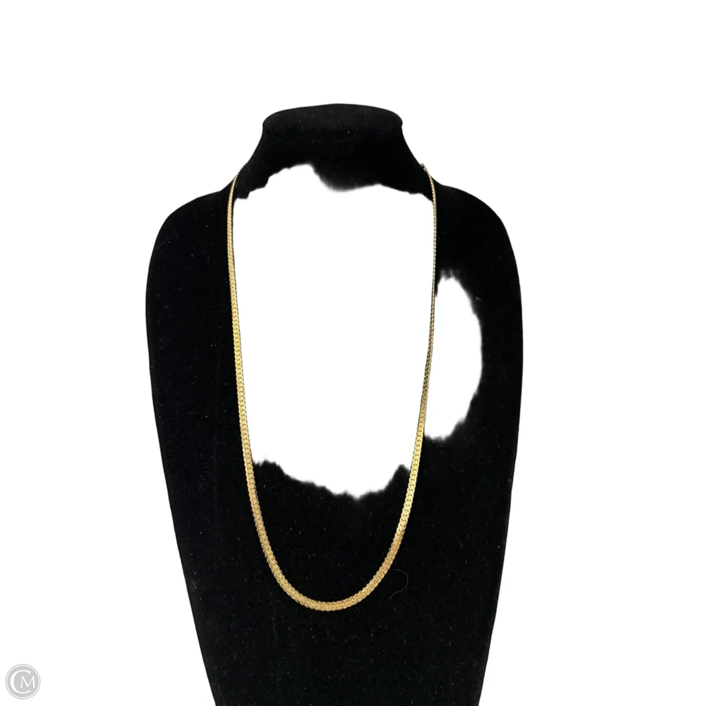 Necklace Chain By Clothes Mentor