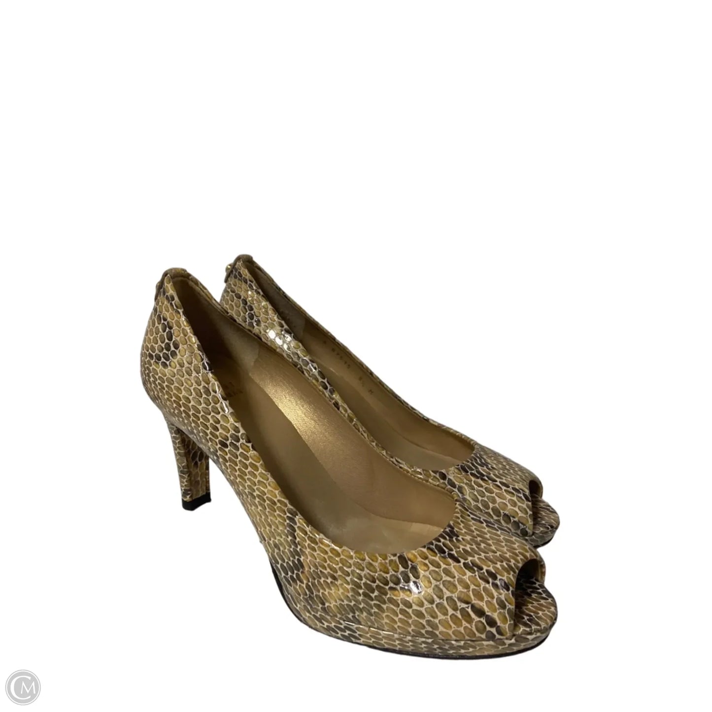 Shoes Designer By Stuart Weitzman In Snakeskin Print, Size: 8.5