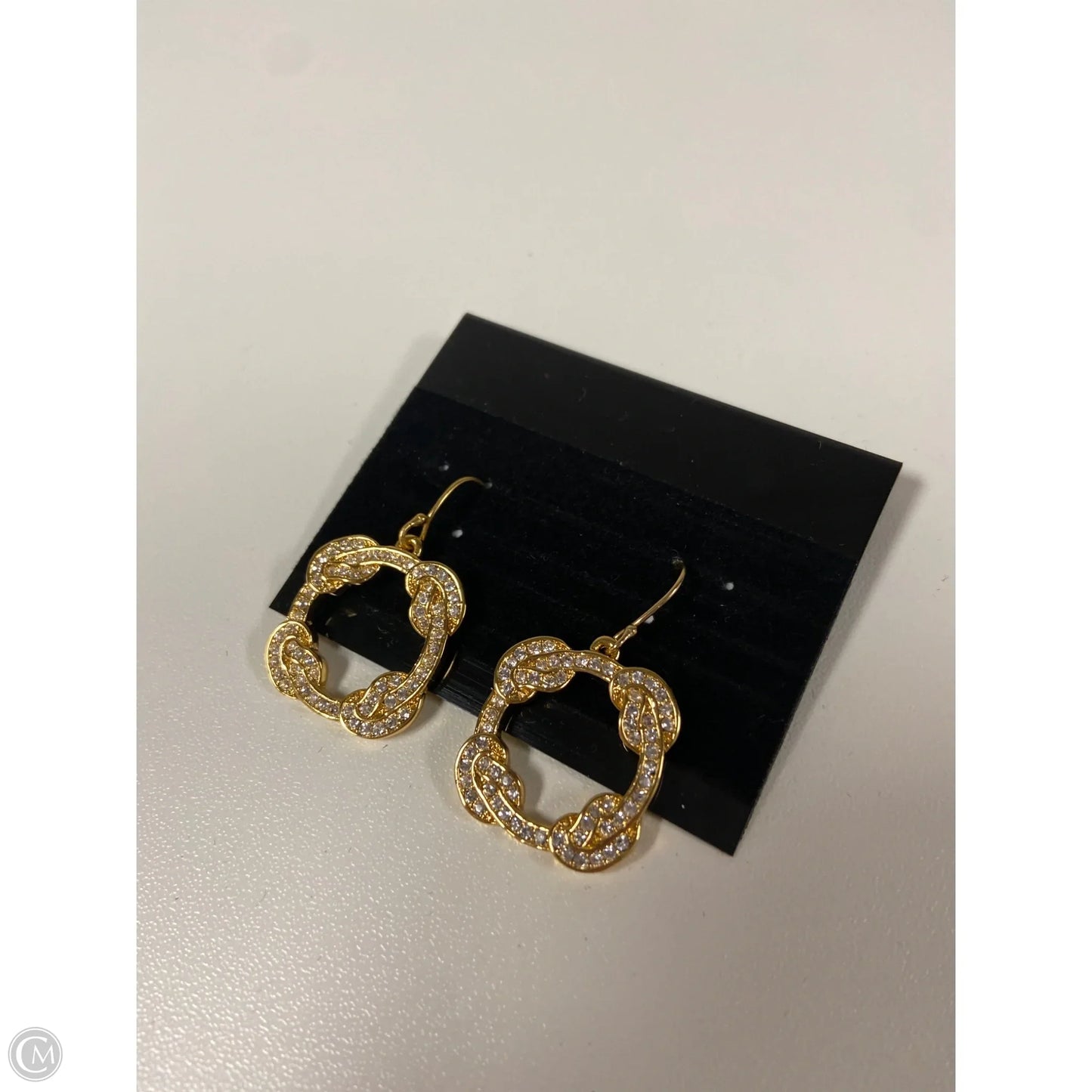 Earrings Designer By Coach